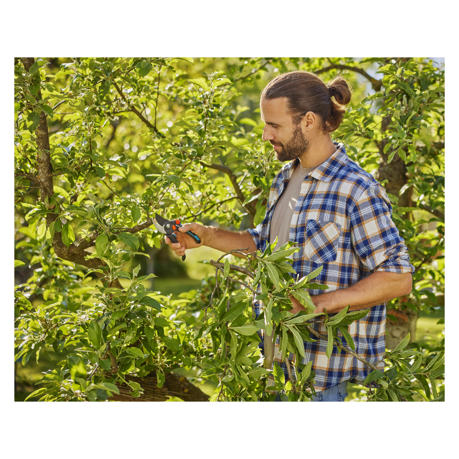 En skäggig man i rutig skjorta använder Gardena Secateurs PremiumCut pro flex för att trimma trädgrenar bland frodigt grönt växtlighet utomhus.