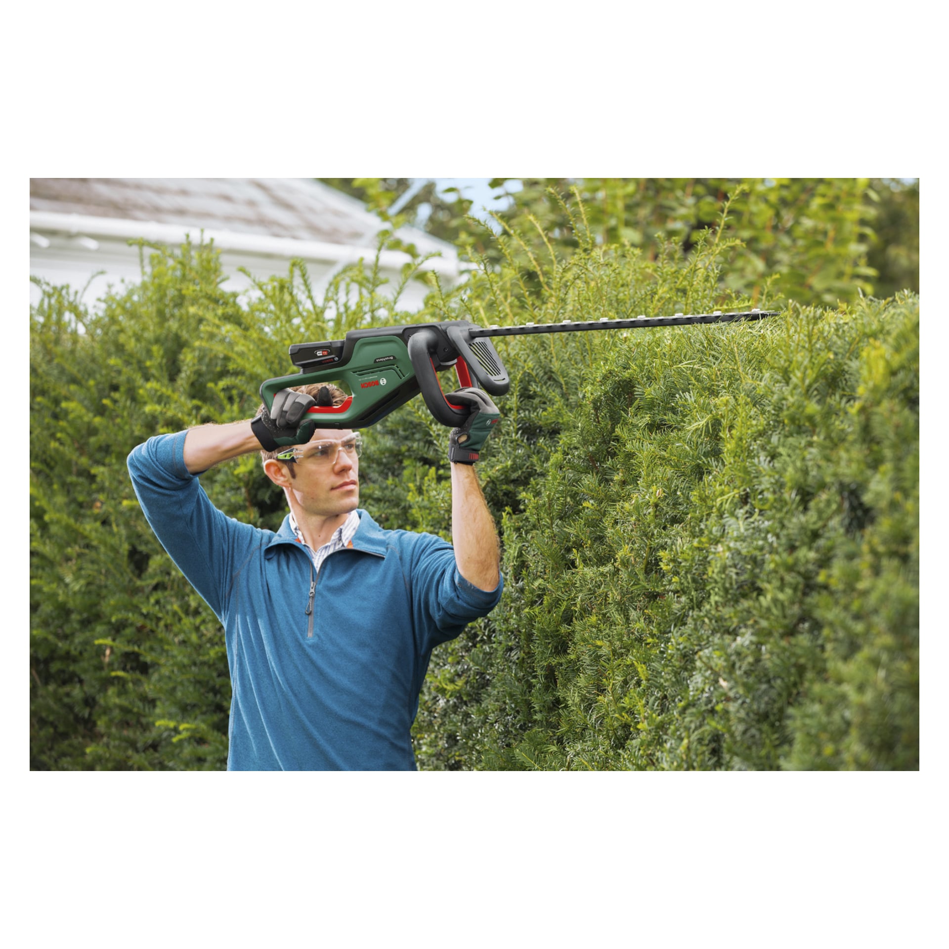 En person med skyddsglasögon och handskar trimmar en hög häck med en Bosch UniversalHedgeCut 18V-55; buskar och träd bakom.