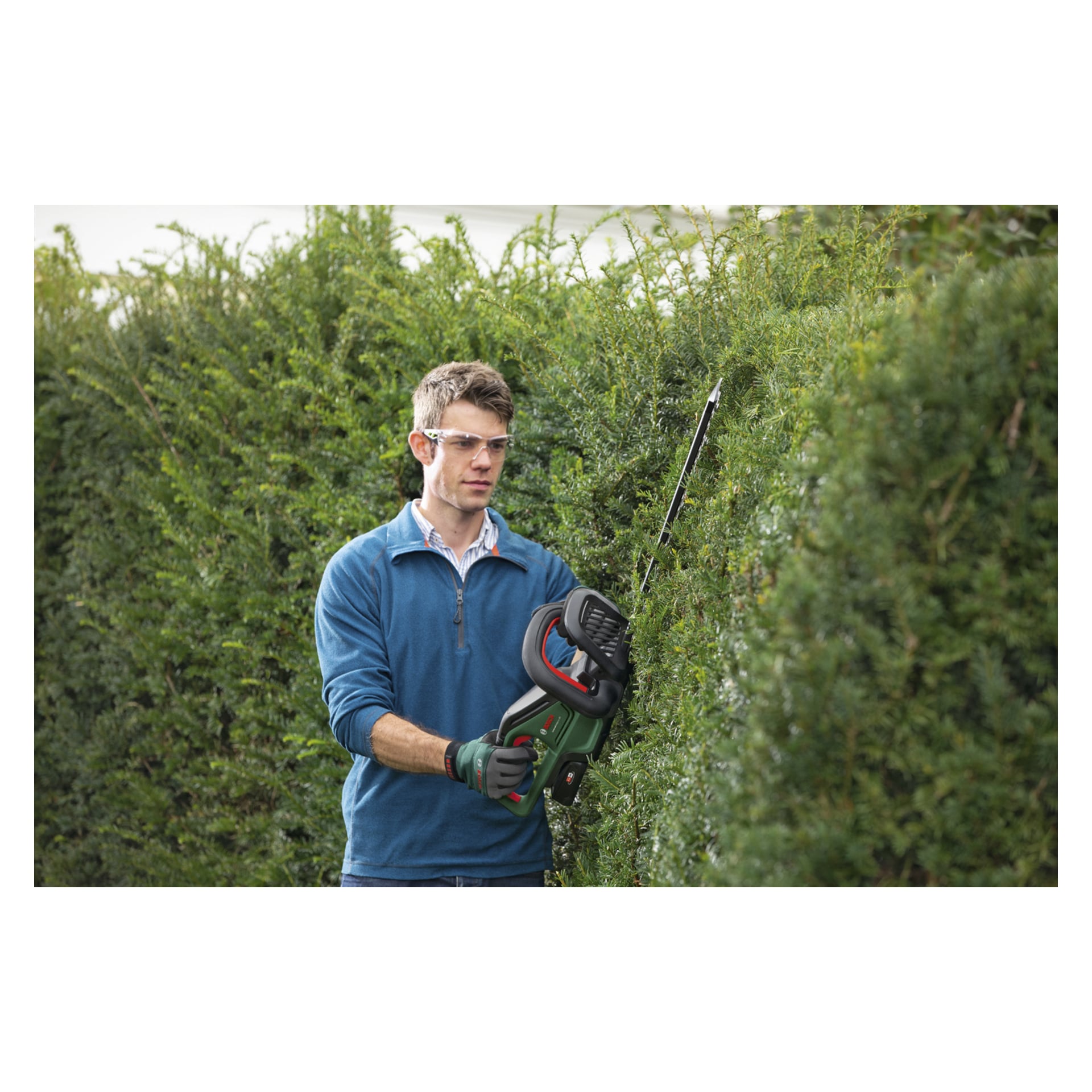 En person med skyddsglasögon och handskar trimmar en hög häcke utomhus med en Bosch Power 4 All UniversalHedgeCut 18V-55 häcksax.