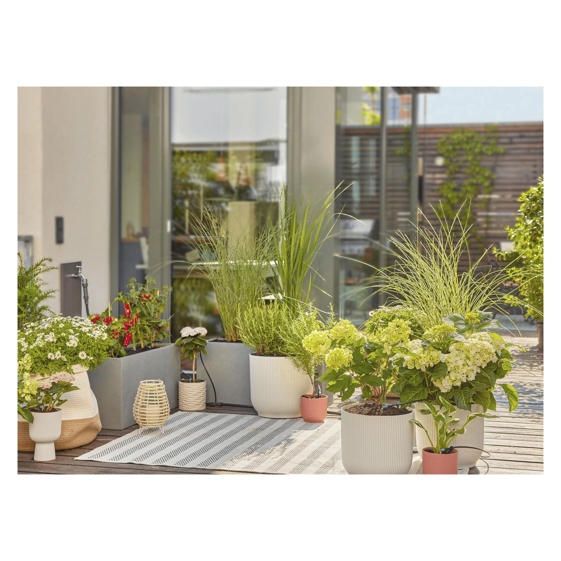 Terrasseplanter med gress og blomster står ved en glassdør, vannet med Gardena dryppsystem i et lyst rom med teppe og dekor.