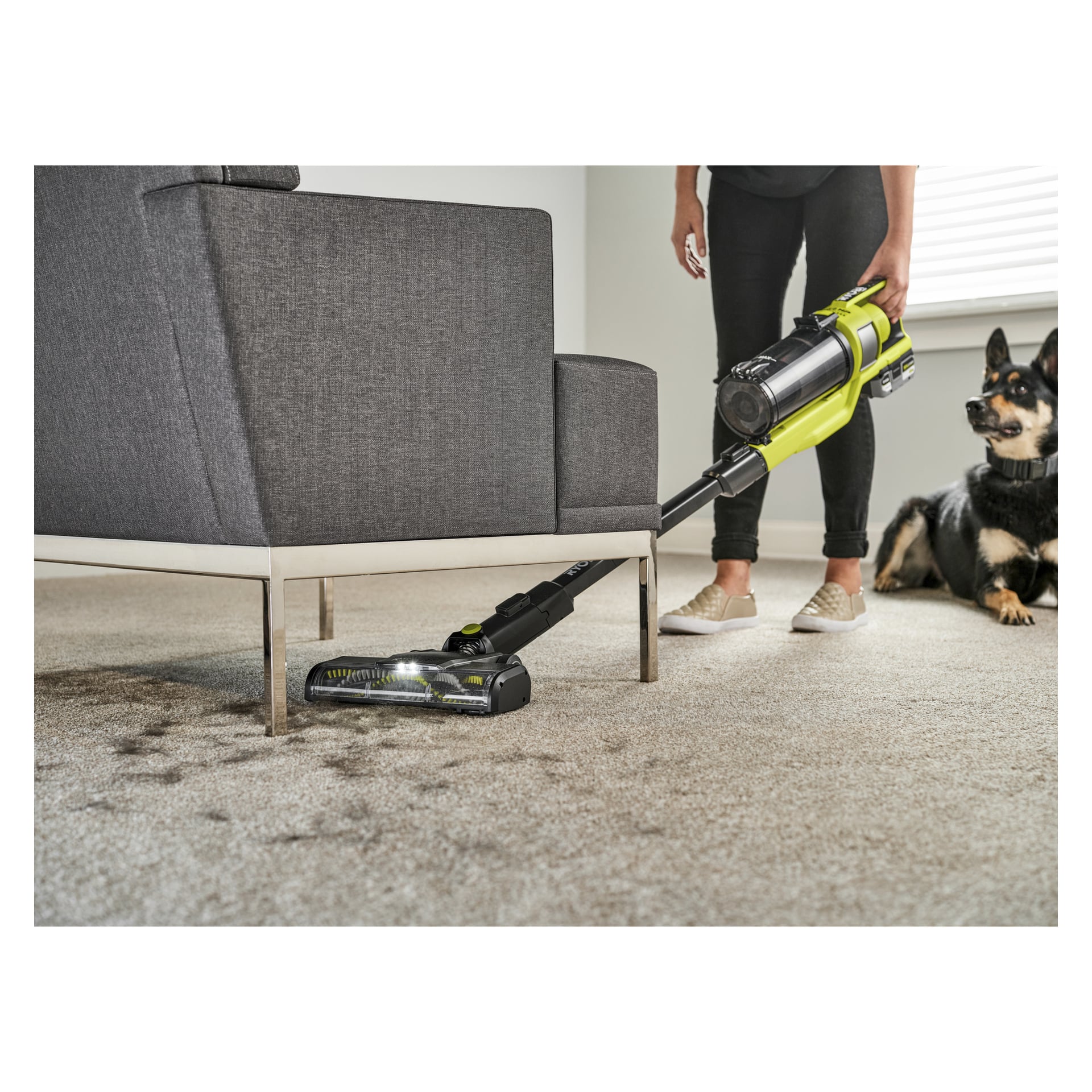En person dammsuger en beige matta nära en grå soffa med en Ryobi One+ RSV18X-1X40 medan en svart och beige hund med halsband bär.