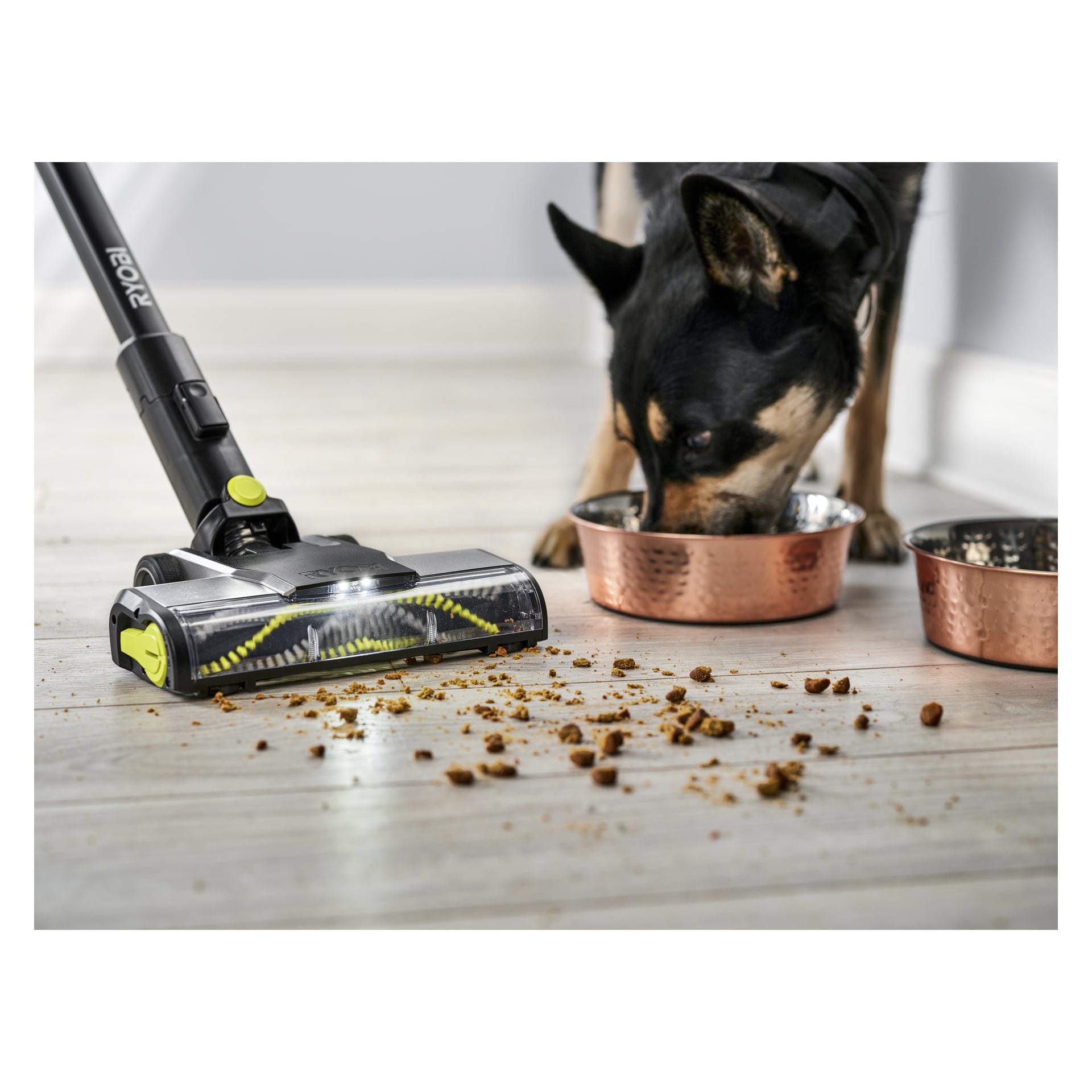 En Ryobi One+ Upright dammsugare rengör hundmatsmulor från ett lätt trägolv nära en svart och brun hund som äter i två skålar.