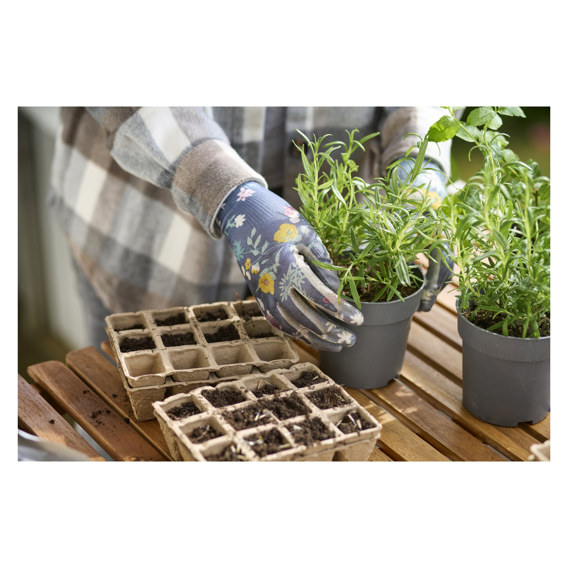 Iförd Bluewear Gardening-handskar håller man en liten krukväxt nära biologiskt nedbrytbara, jordfyllda plantbrickor på ett träbord.