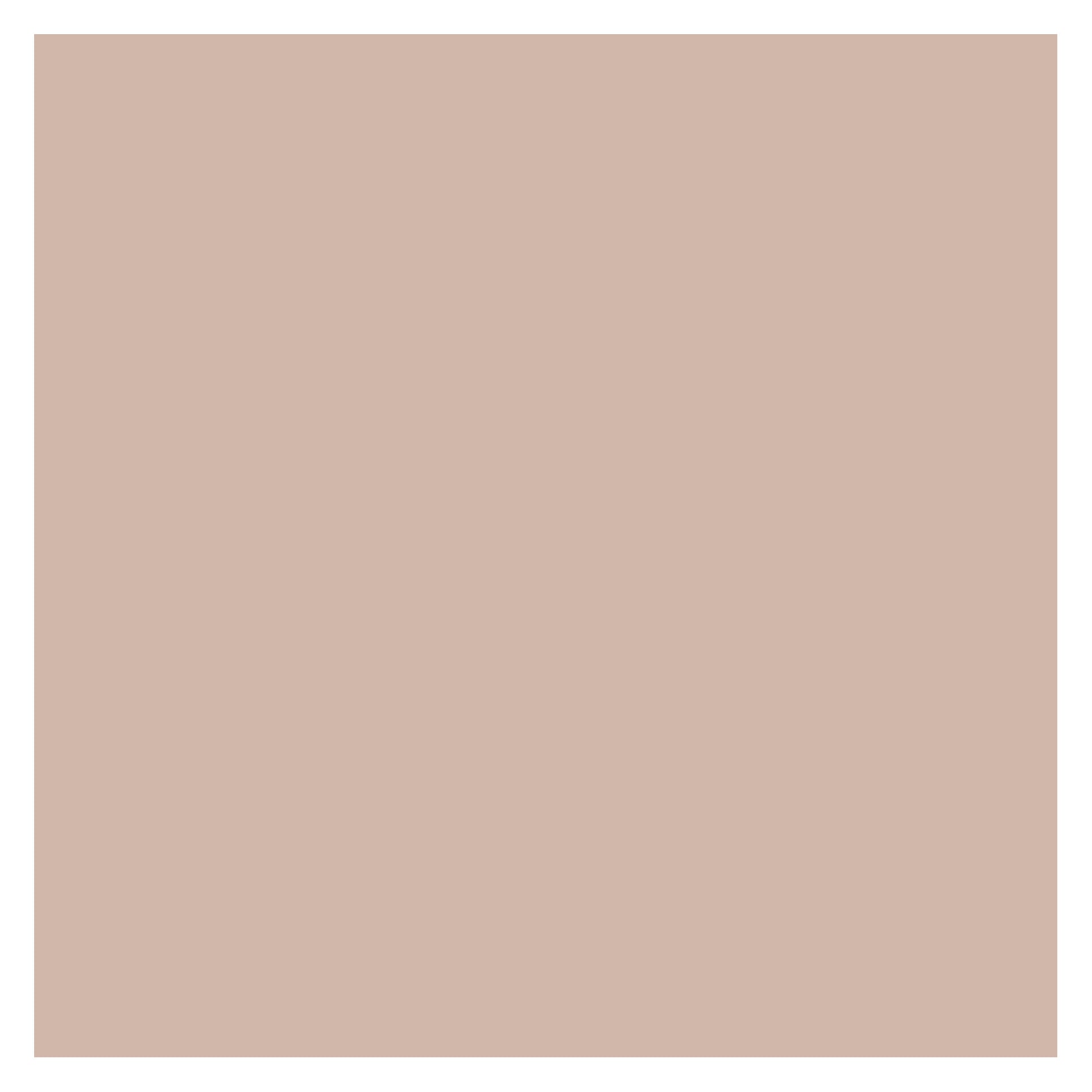 Hard Head väggfärg skapar en slät, jämn yta i mjuka beige eller rouge-toner, utan synliga mönster, texturer eller objekt.