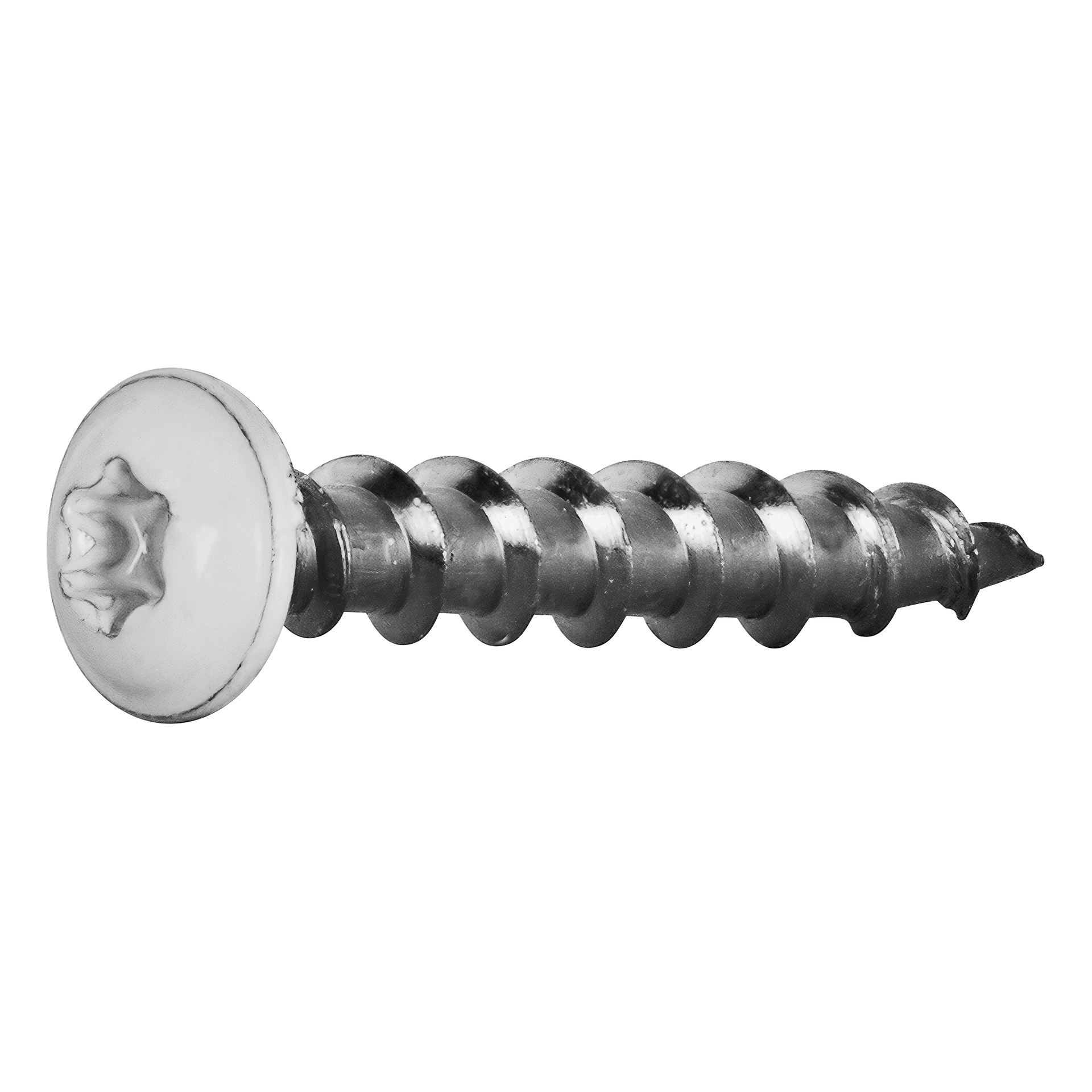 Nærbilde av en Heco Sheet Metal Screw fra 25-pakken, som viser dens flate, runde hode og Phillips-driv.