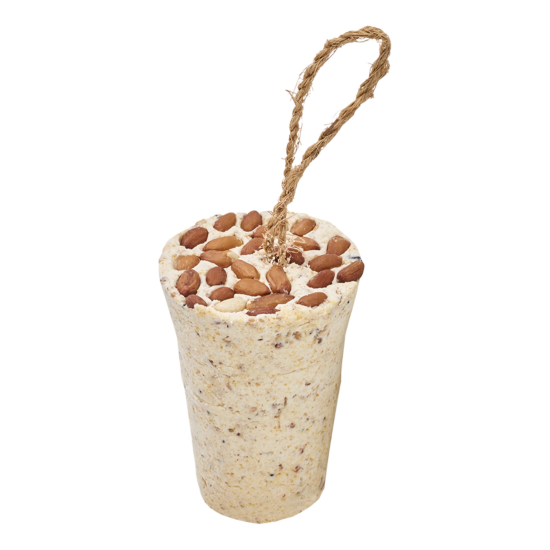 En blek, kornig talgcylinder toppad med hela jordnötter och en brun snöre för enkel upphängning.