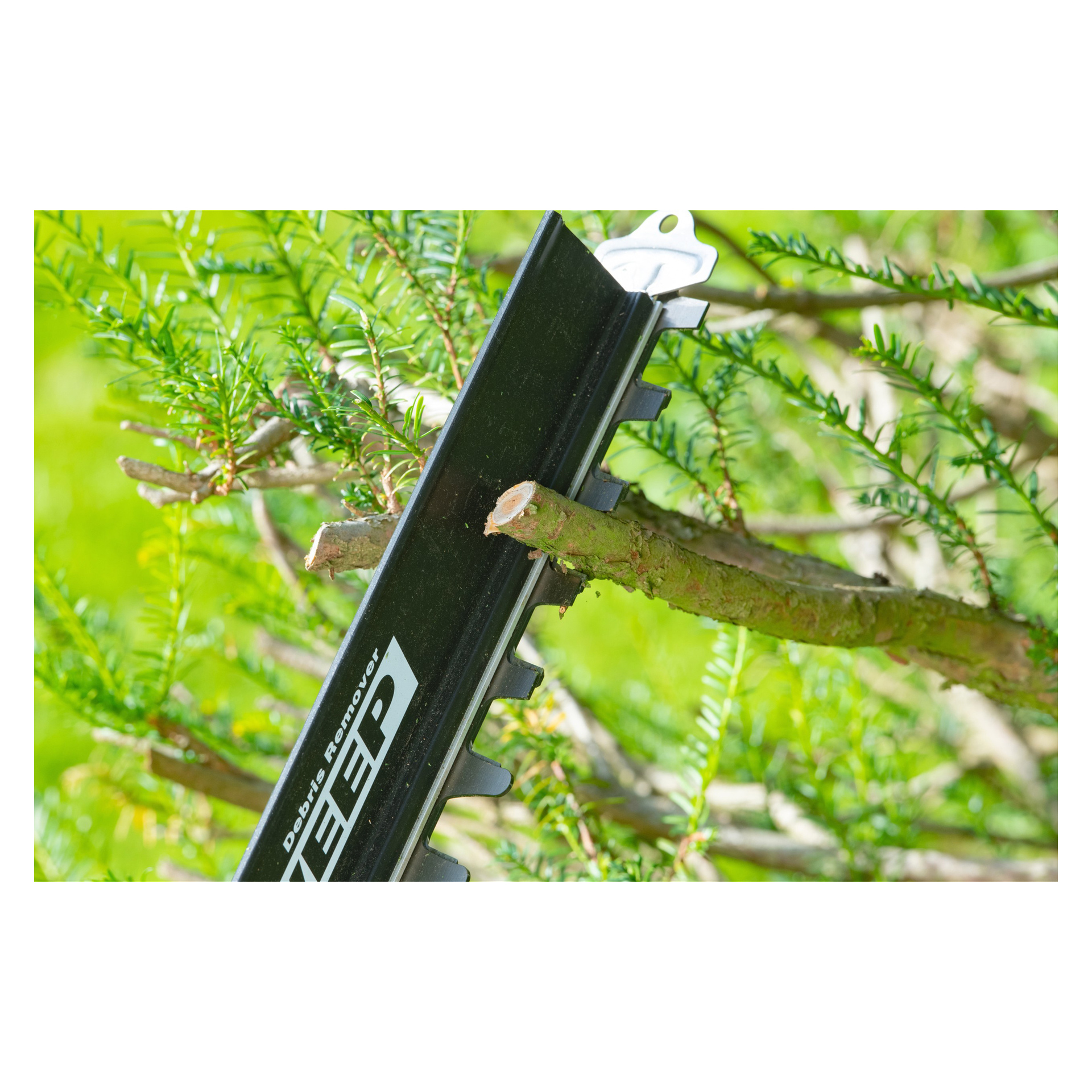 Ryobi RY18HTX60A-220 -pensasleikkuri leikkaa pienen puun oksan läpi, jota ympäröivät tiheät vihreät lehdet ja lehdet.