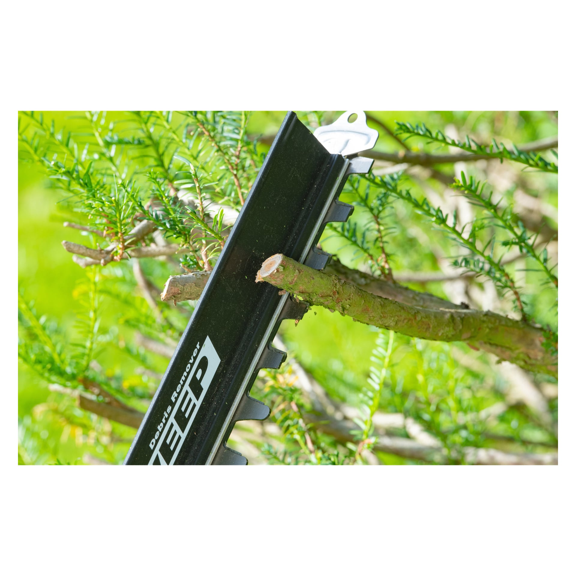 En Ryobi RY18HTX60A-220 häcktrimmare skär genom en liten trädgren omgiven av täta gröna blad och lövverk.