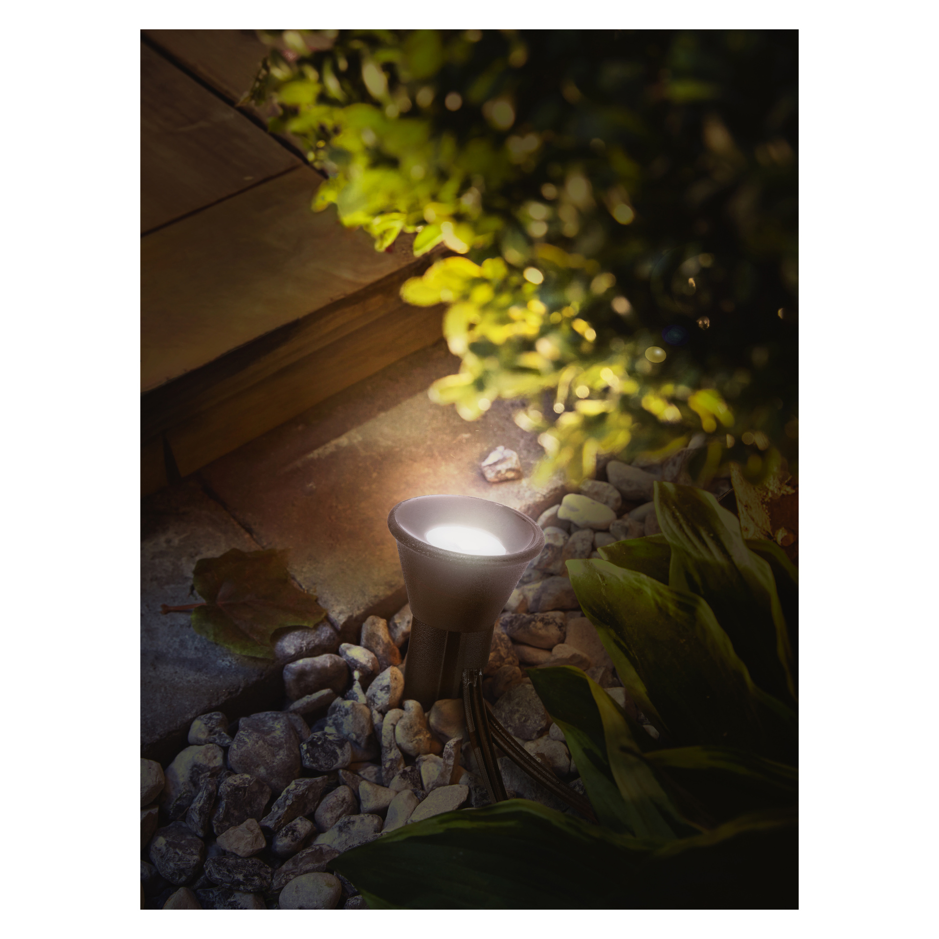 En liten spotlight sitter i grus och lyser upp en grön växt.
