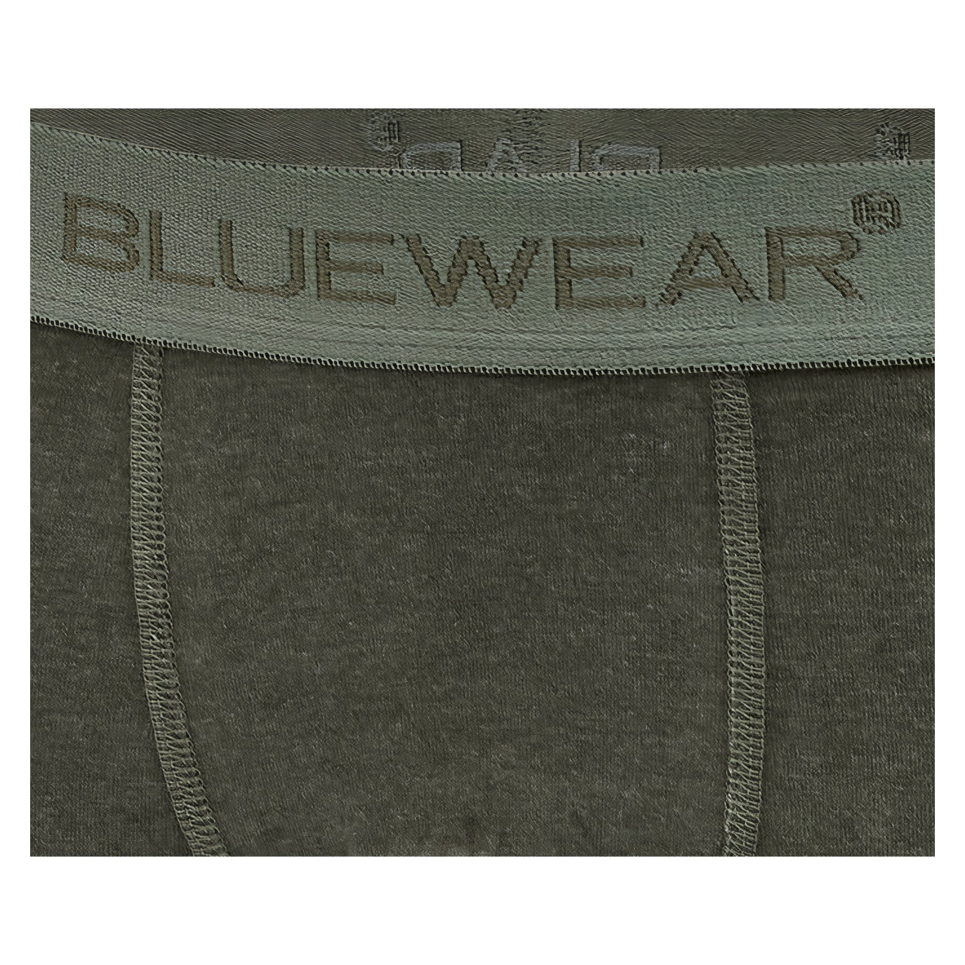 Närbild av ett par mörkgröna underkläder med varumärket BLUEWEAR sytt på linningen. Synliga sömnadsdetaljer finns på tyget.