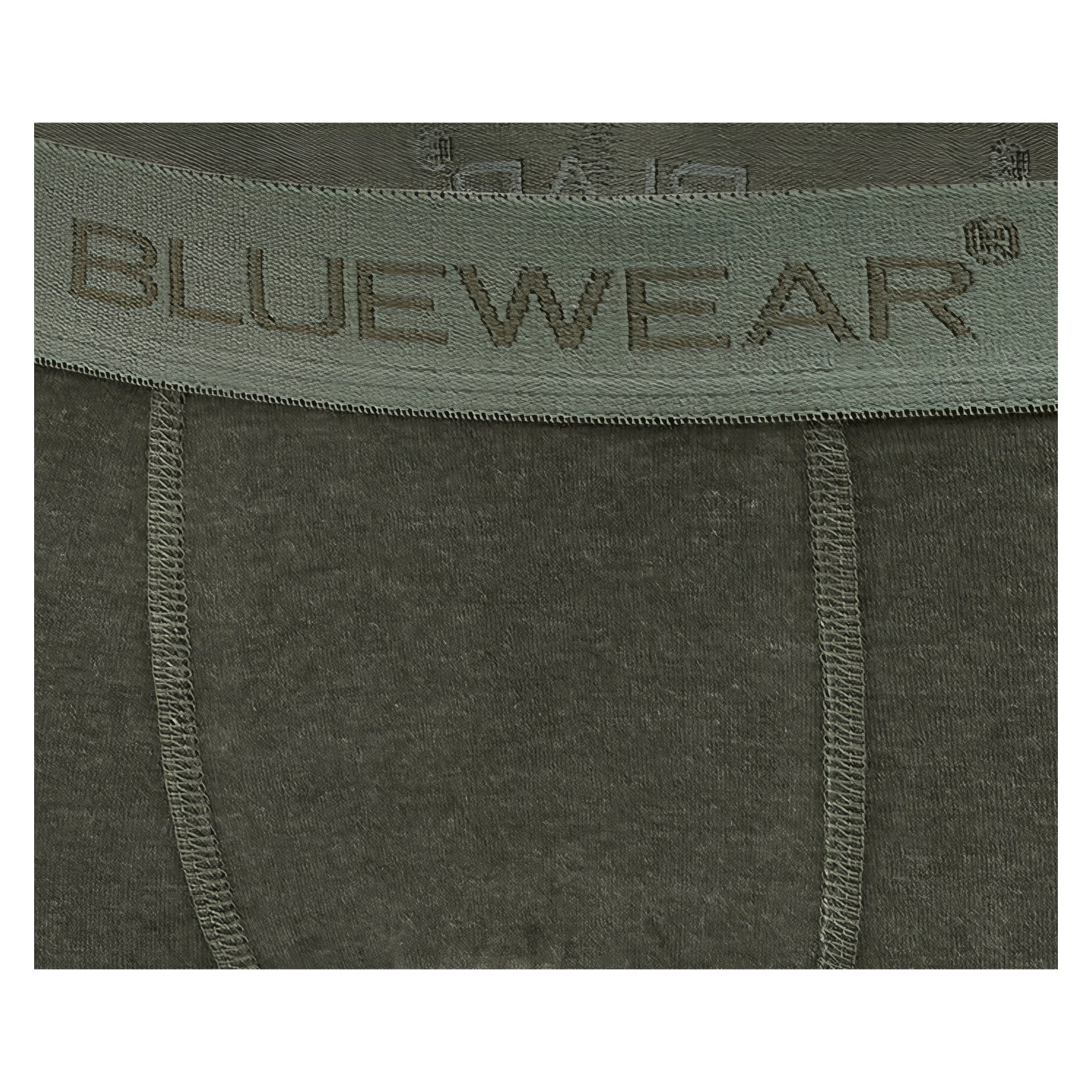 Närbild av ett par olivgröna underkläder med varumärket BLUEWEAR broderat på linningen i matchande grön tråd. Tyget har synliga sömmar och ett lätt strukturerat utseende.