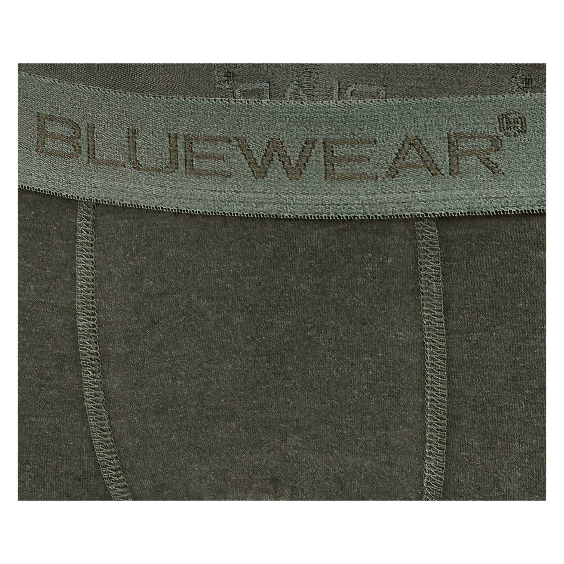 Närbild av midjebandet på mörkgröna underkläder med varumärket BLUEWEAR broderat i stora versaler över midjebandet.