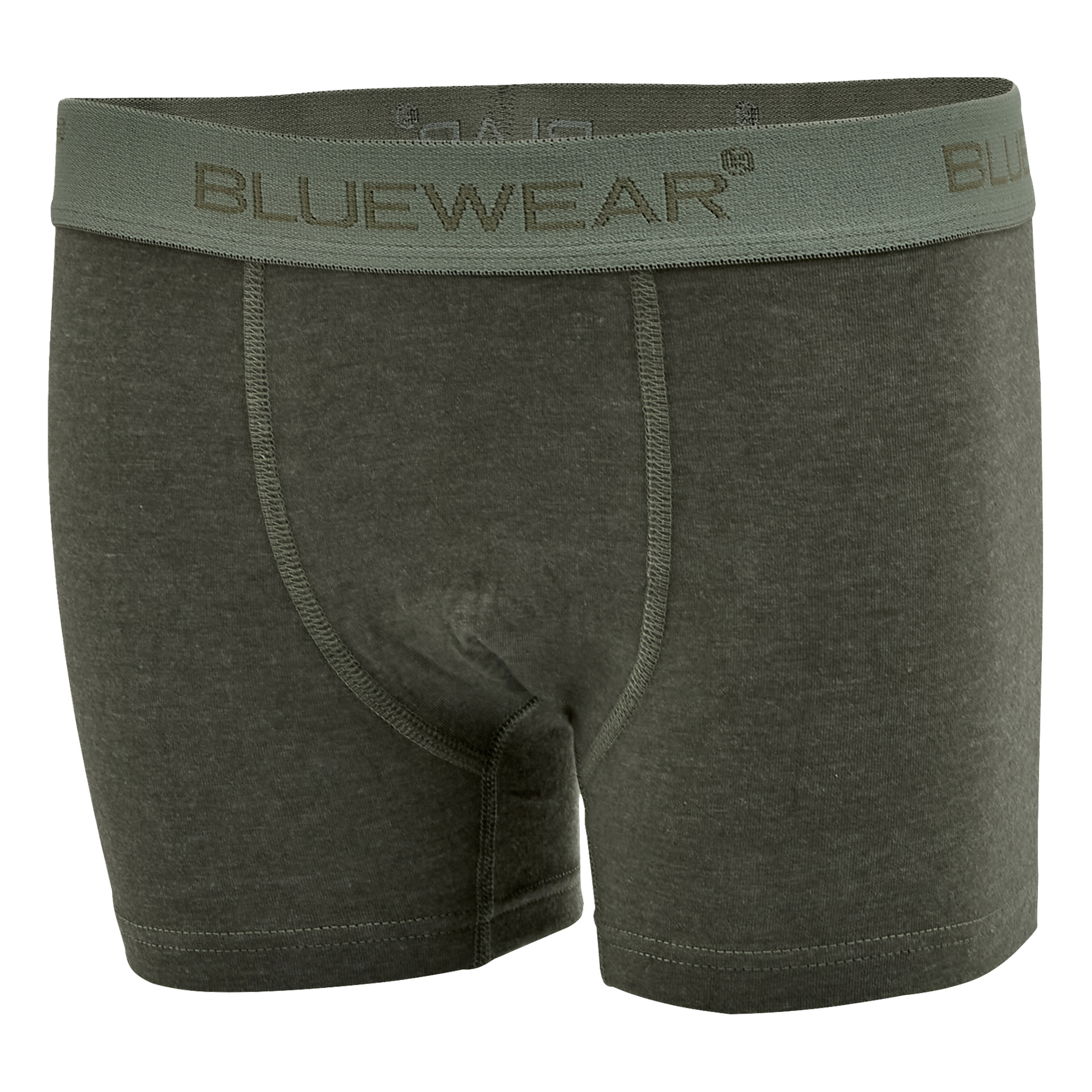 Ett par mörkgröna boxerkalsonger med bred linning och märkesnamnet BLUEWEAR i stora bokstäver. Tyget ser ut att vara mjukt och stretchigt.
