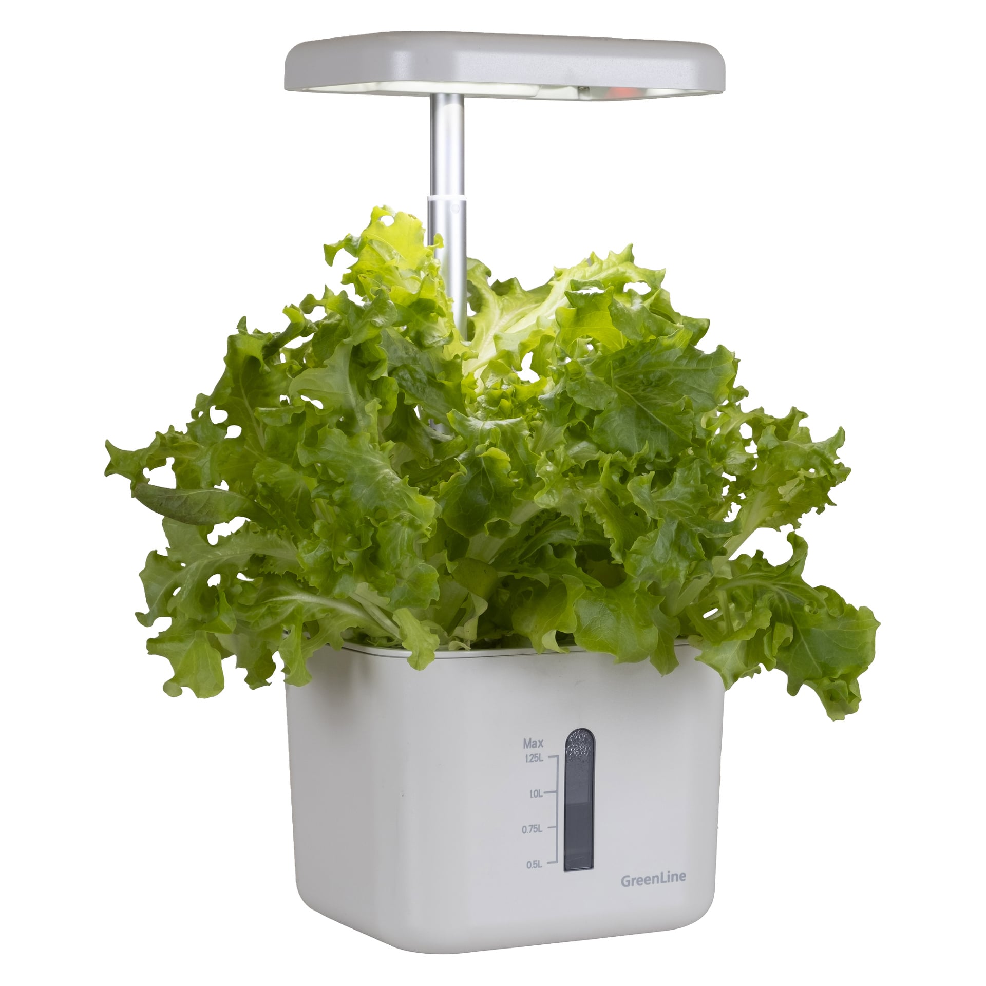 En elegant vit hydroponisk planteringslåda med LED-odlingsljus odlar frodig sallad, med en främre vattennivåindikator märkt GreenLine.