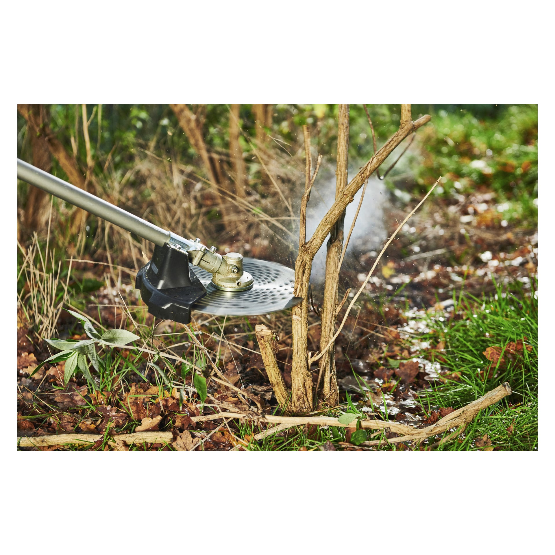 Ett elverktyg med ett borstklipparblad av metall skär genom buskstjälkar i en trädgård med gräs, jord och spridda löv.