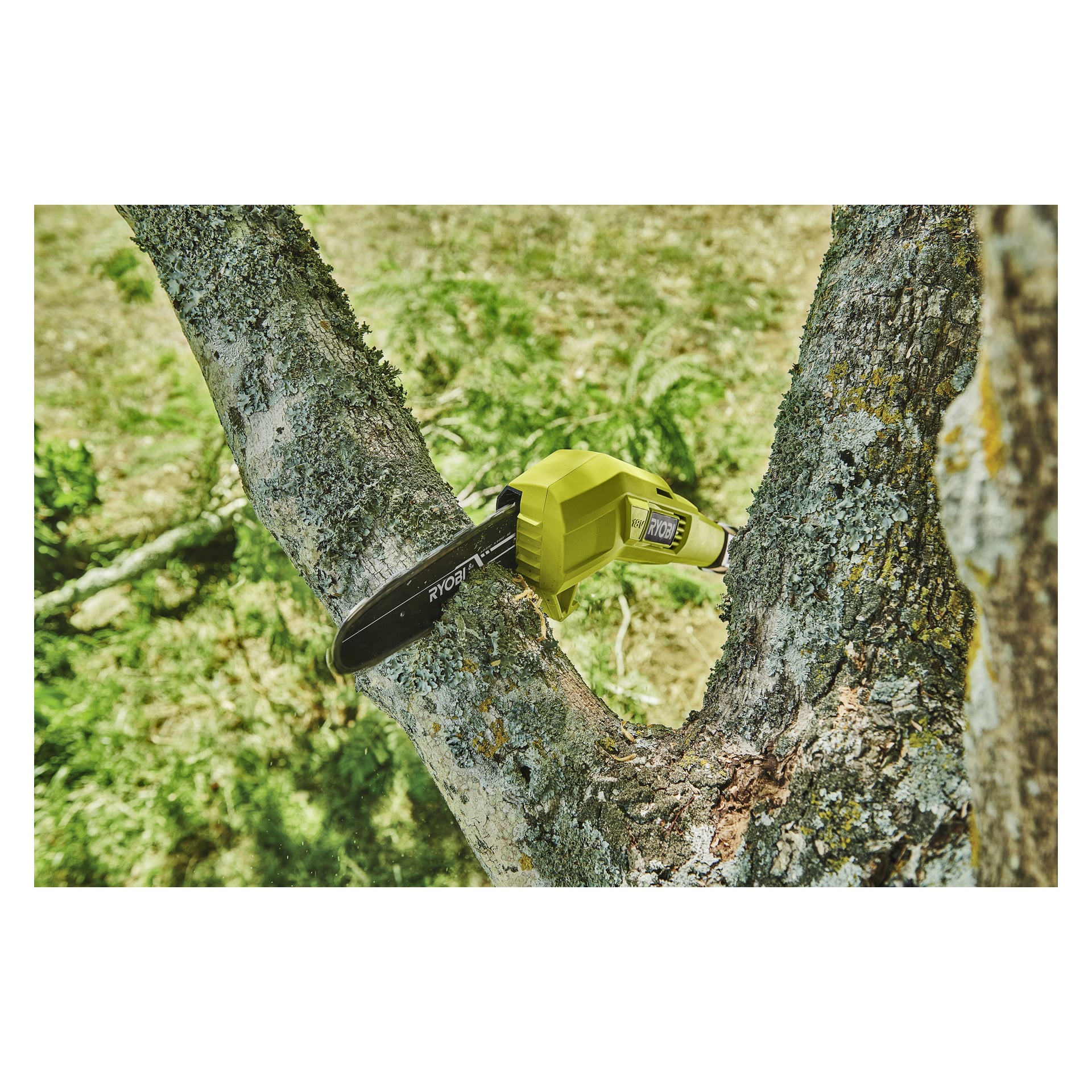 En elektrisk motorsåg från Ryobi, gul och svart, skär genom en tjock, lavtäckt trädgren utomhus.