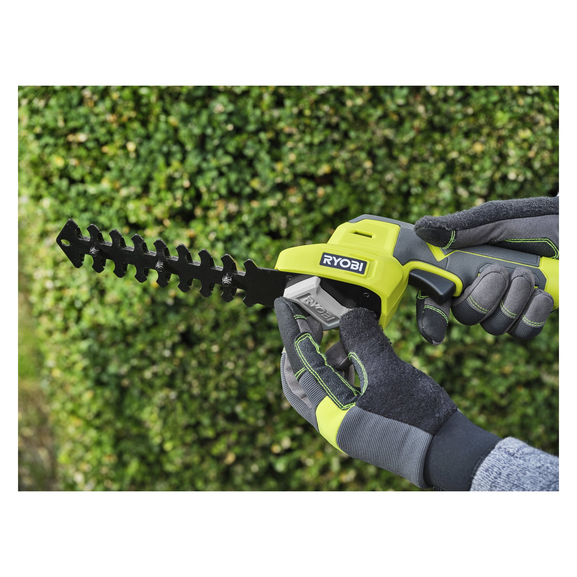 Någon i grå och gröna handskar greppar en sladdlös häcksax från Ryobi med ett svart blad och klipper en grönskande häck.