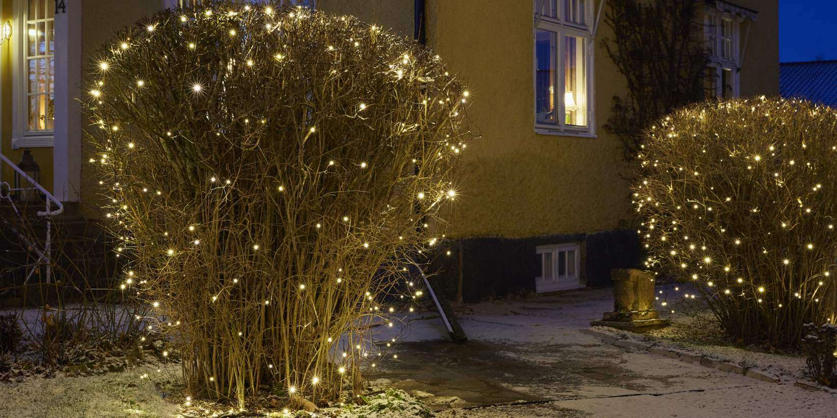 En busk dekket av små hvite lyslenker lyser om natten foran et gult hus, med en annen opplyst busk og lyse vinduer bak.