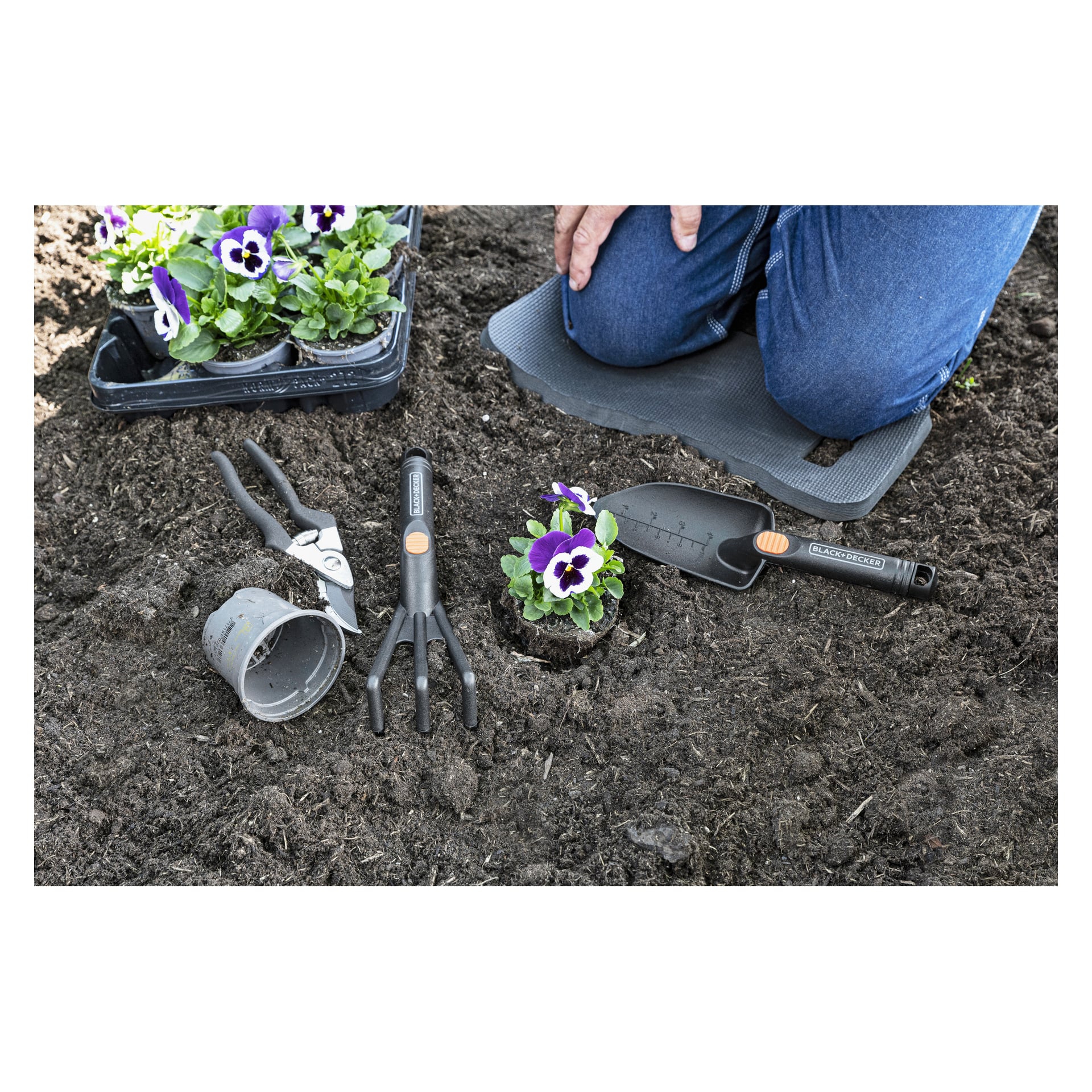 Någon knäböjer på en trädgårdsplatta, redo att plantera spenies. Verktyg, en kruka och krukblommor finns i närheten; En pensé är i jorden.