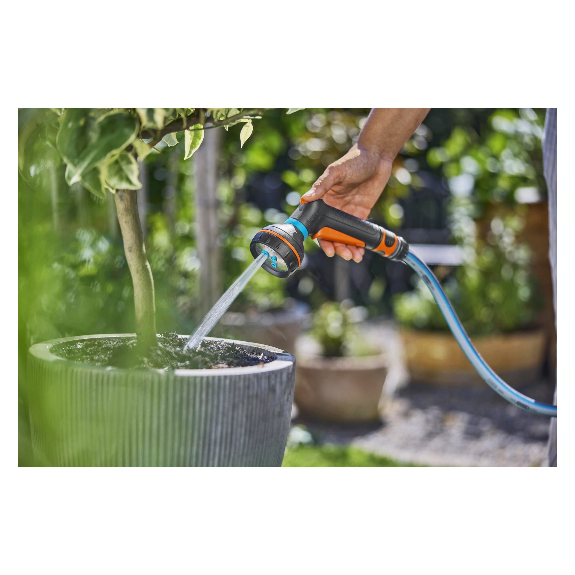 Noen bruker en hageslange med sprøytedyse for å vanne en potteplante utendørs, med flere planter og grøntområder i bakgrunnen.