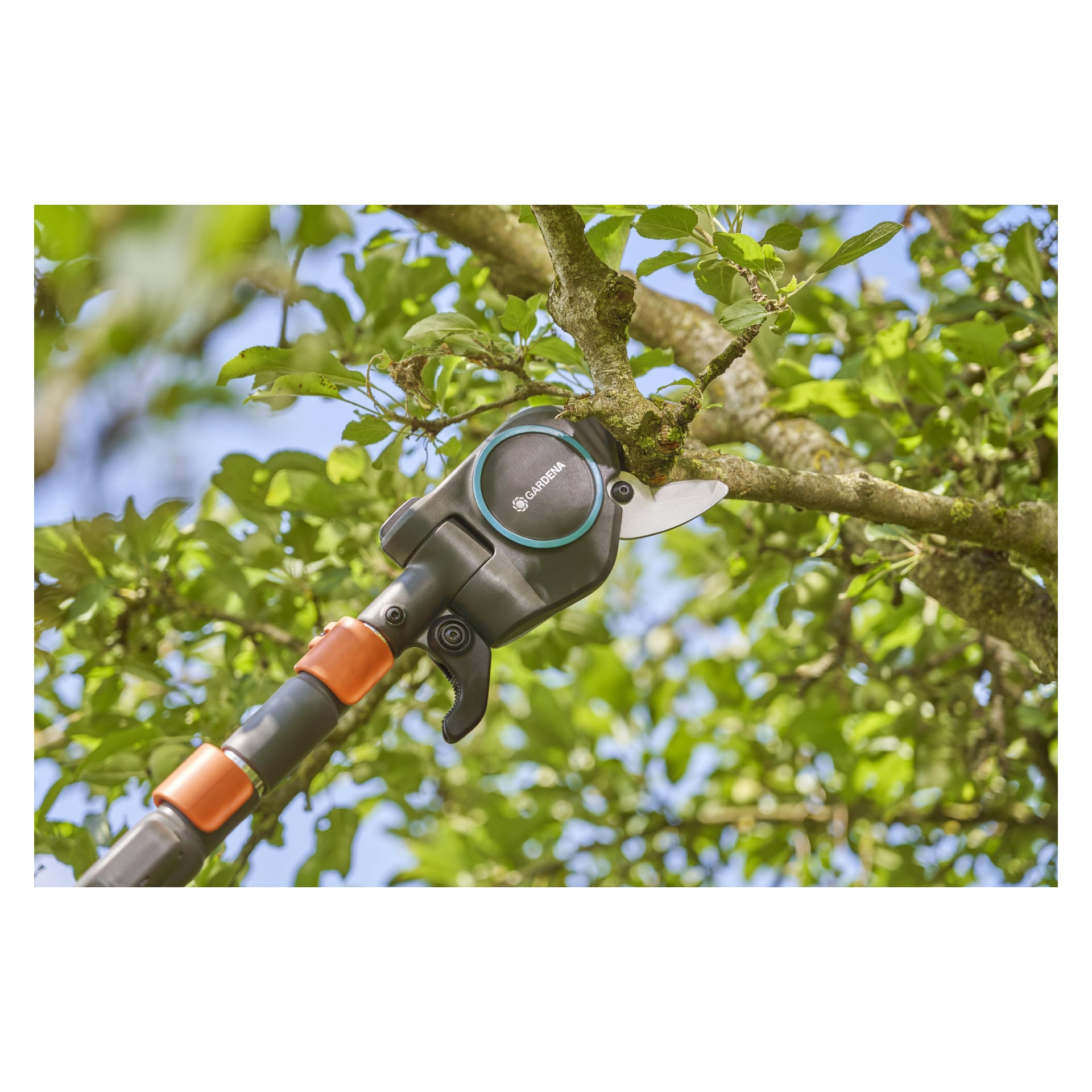 Närbild på en Gardena-stångbeskärare som trimmar en trädgren bland grönt lövverk och blå himmel, med en orange spak på det utdragbara handtaget.