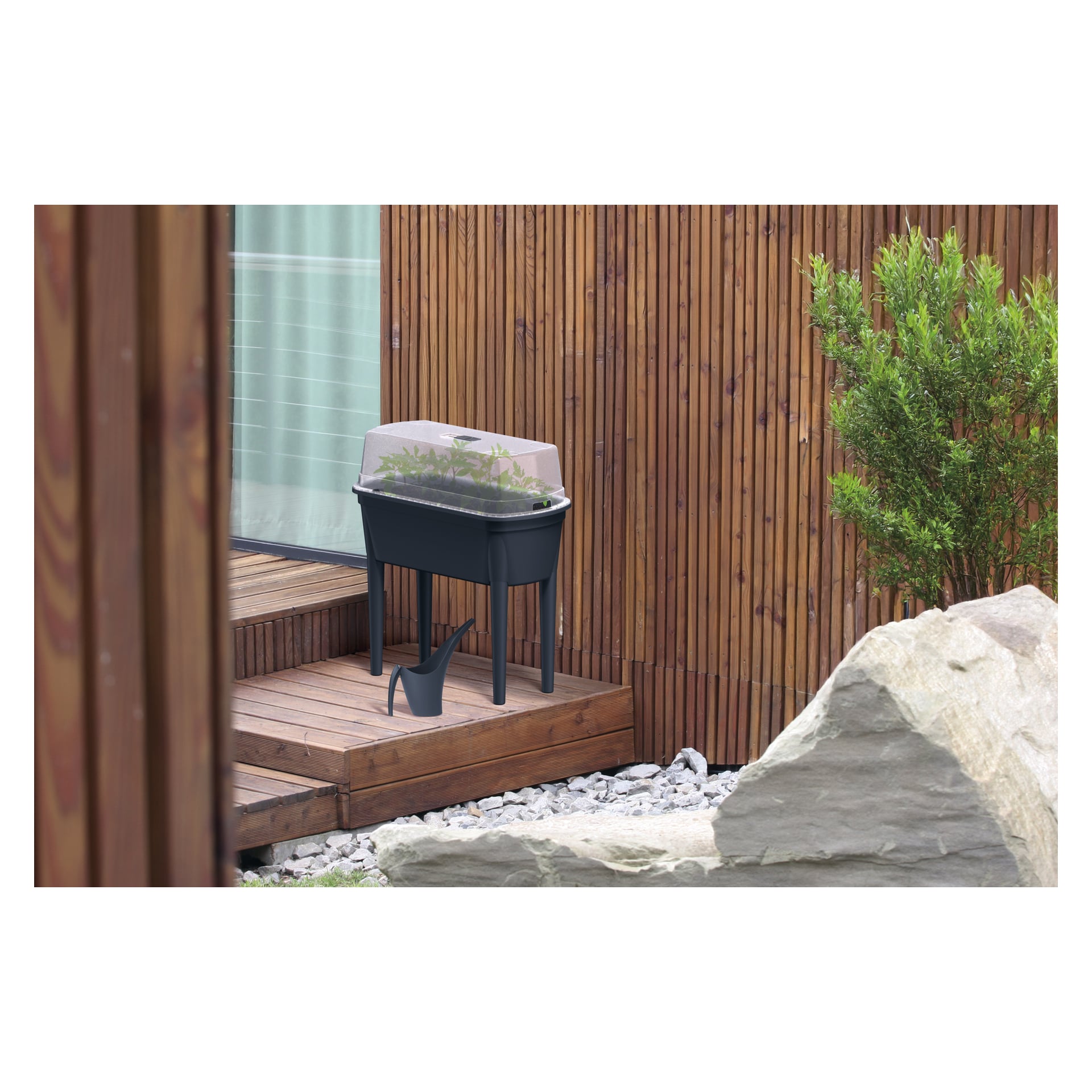 En liten rabatt med genomskinlig täckning står på en träaltan bredvid ett hus; I närheten finns en vattenkanna, stenar och en grön växt.