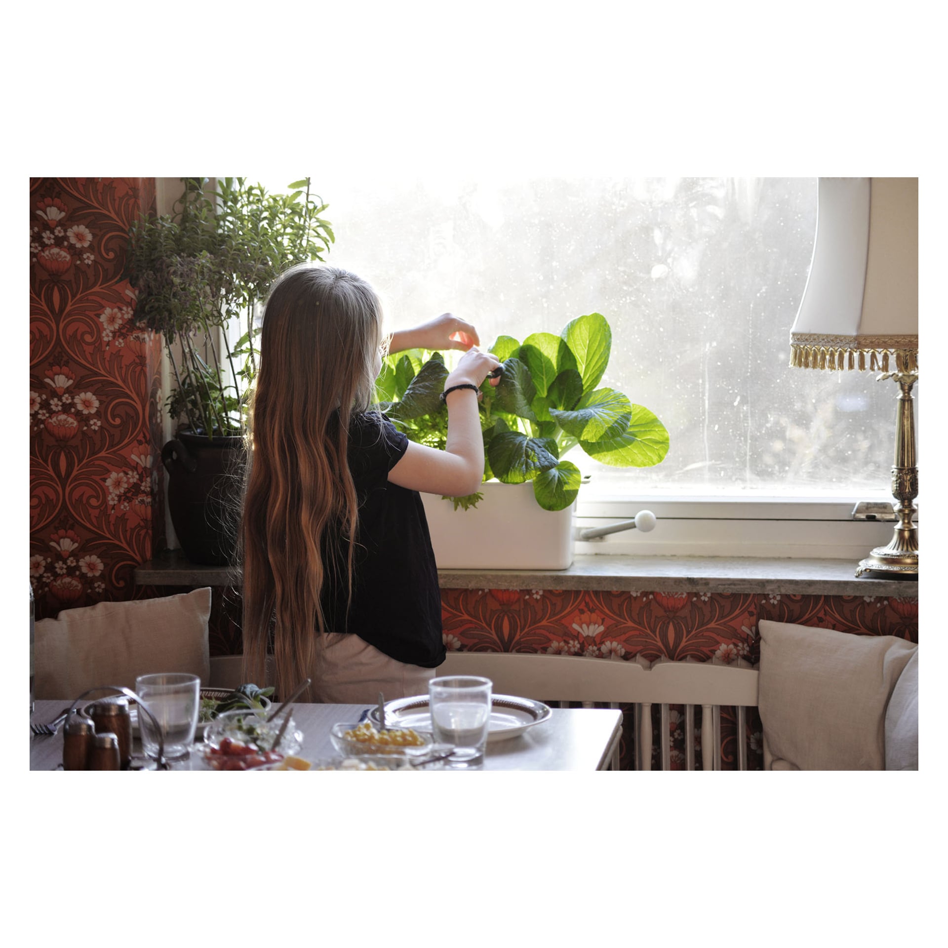 En flicka med långt hår tar hand om gröna växter vid ett fönster i en matsal med dukat bord, mönstrat tapet och en messingslampa.