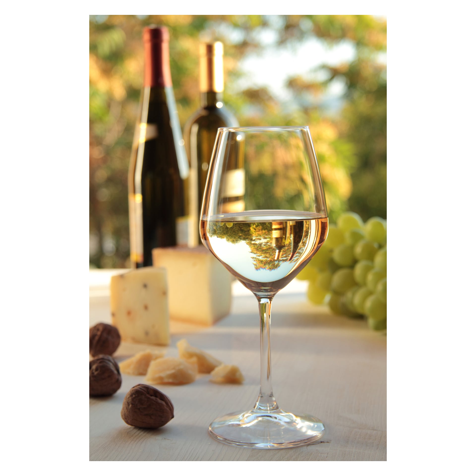 Glass hvitvin på et bord med ost, druer og nøtter. To vinflasker og grøntområder er uklare i bakgrunnen.