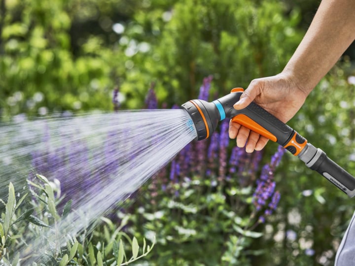Eine Hand hält eine orange-schwarze Gartenleitung und gießt grüne Pflanzen mit violetten Blumen in einem üppigen Garten.