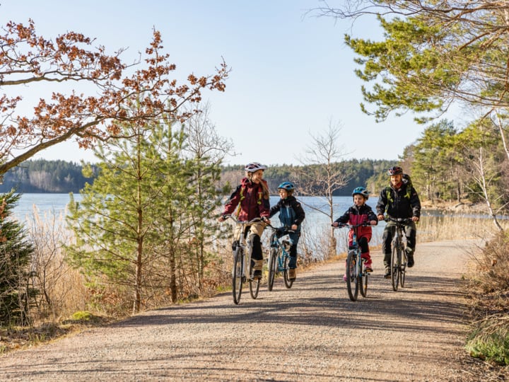Vier Radfahrer, alle mit Helmen und Outdoor-Ausrüstung, fahren gemeinsam auf einem von Bäumen und Wasser gesäumten Schotterweg unter klarem, sonnigem Himmel. Die ruhige Gruppe setzt sich entlang des Seepfades fort.