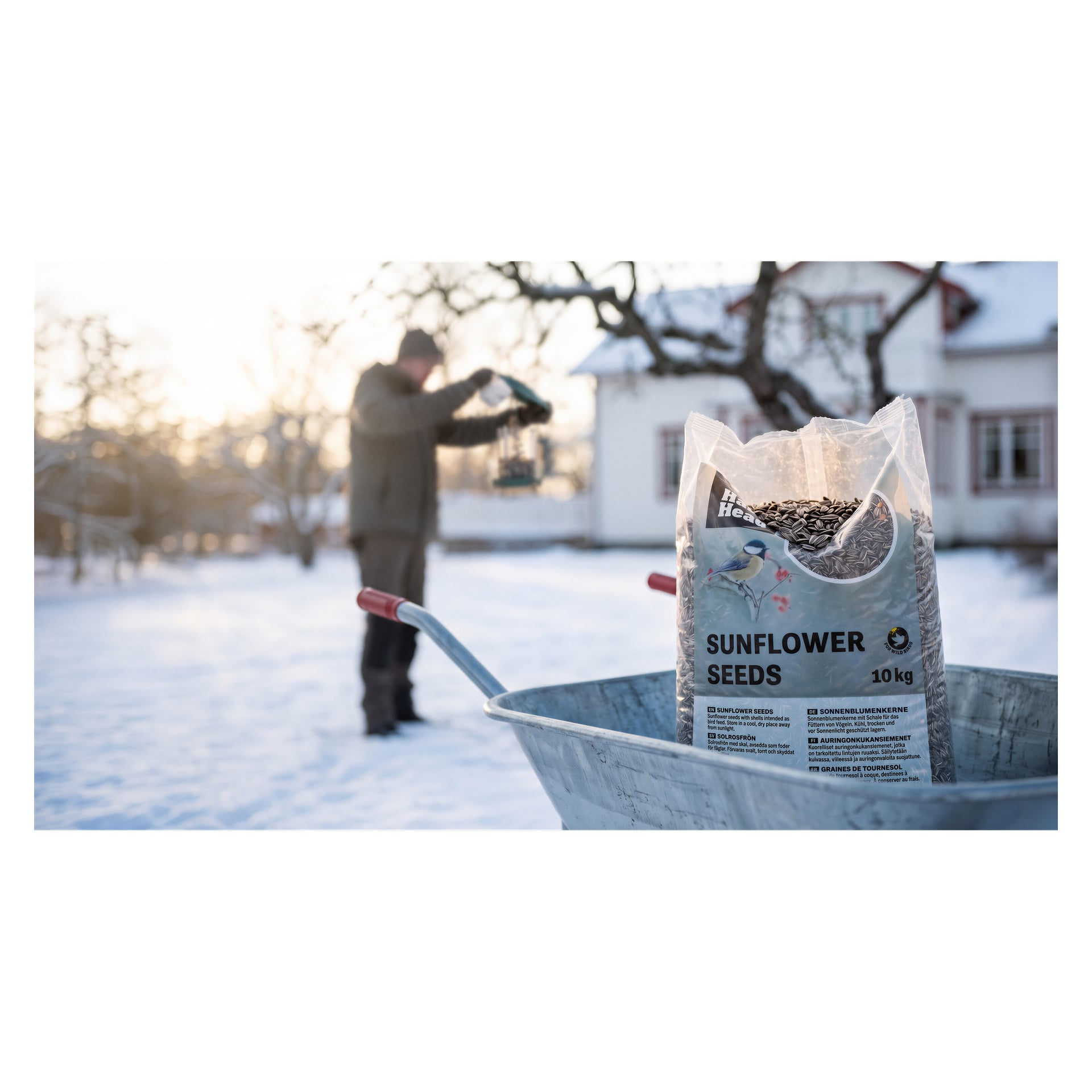 En stor genomskinlig påse med Hard Head-solrosfrön som ligger i en metallskottkärra, med en person som fyller en fågelmatare i den suddiga bakgrunden.