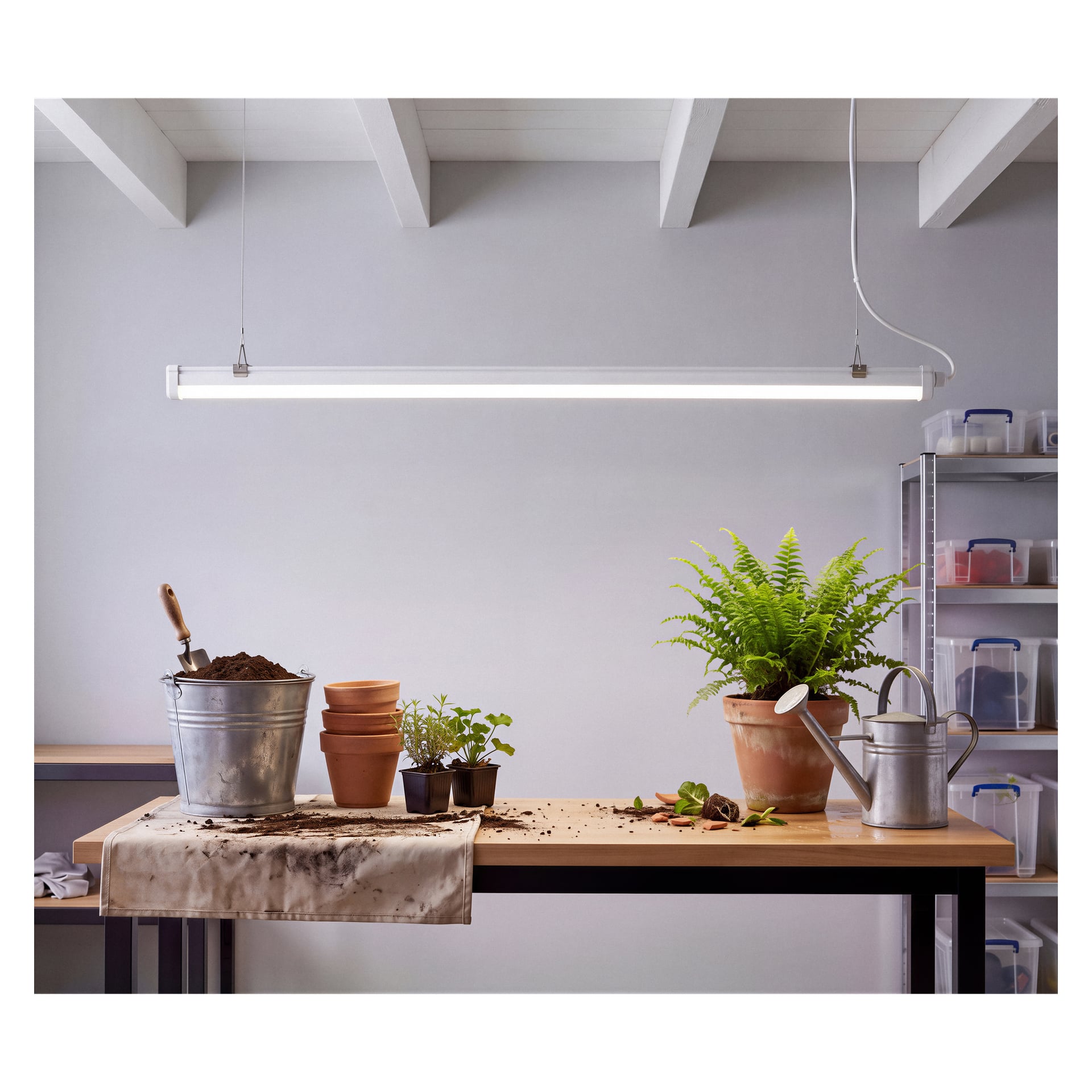 Ett träbord innehåller en krukbunke, diverse små växter, en metallvattenkanna, lerkrukor, en hink jord och en murslev under Philips LED-lampan märkt "ProjectLine Waterproof"; förvaringshyllor och tak finns i bakgrunden.