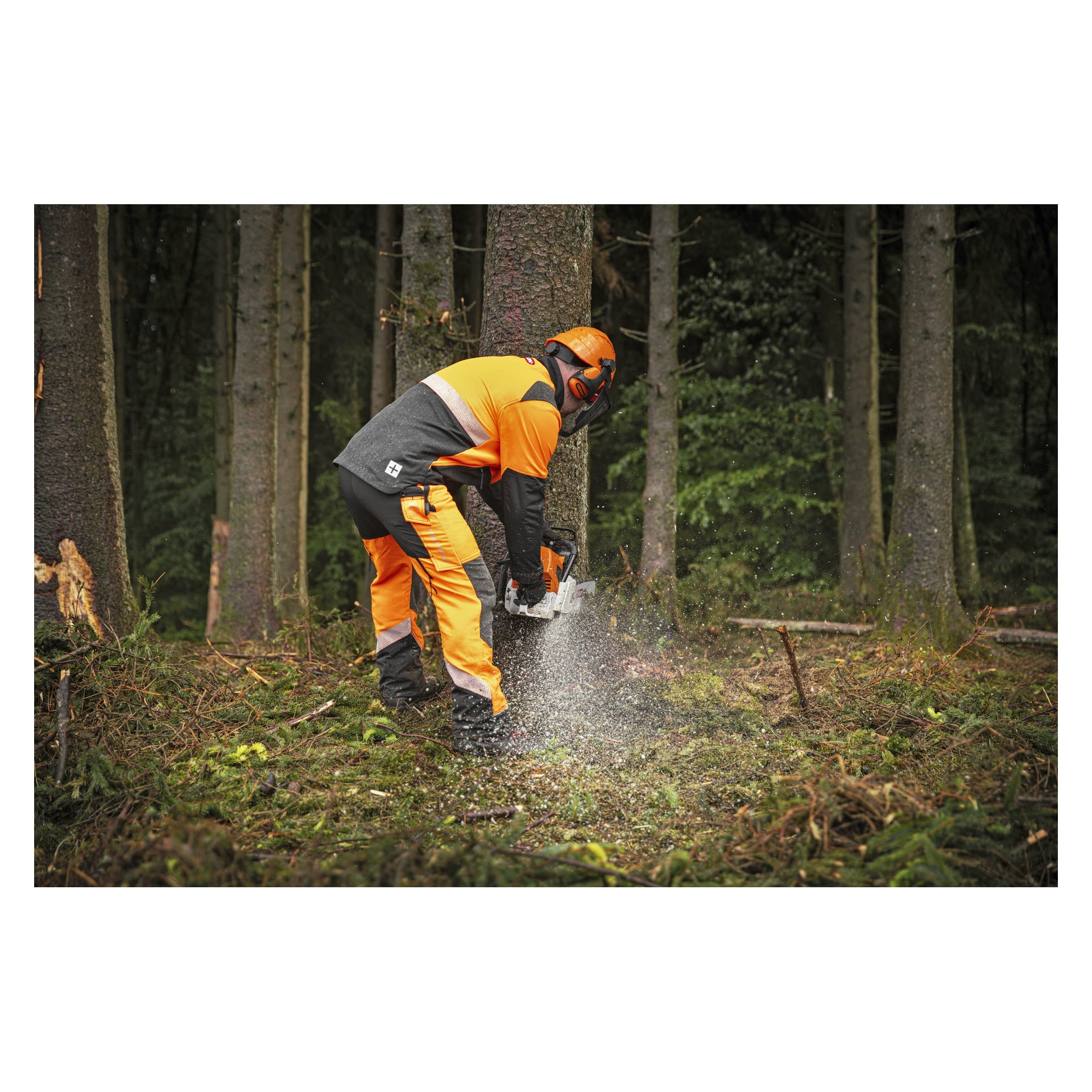 Drwal w hełmie Oregon Protect Plus i w ochronie o wysokiej widoczności ścina drzewo piłą łańcuchową w lesie.