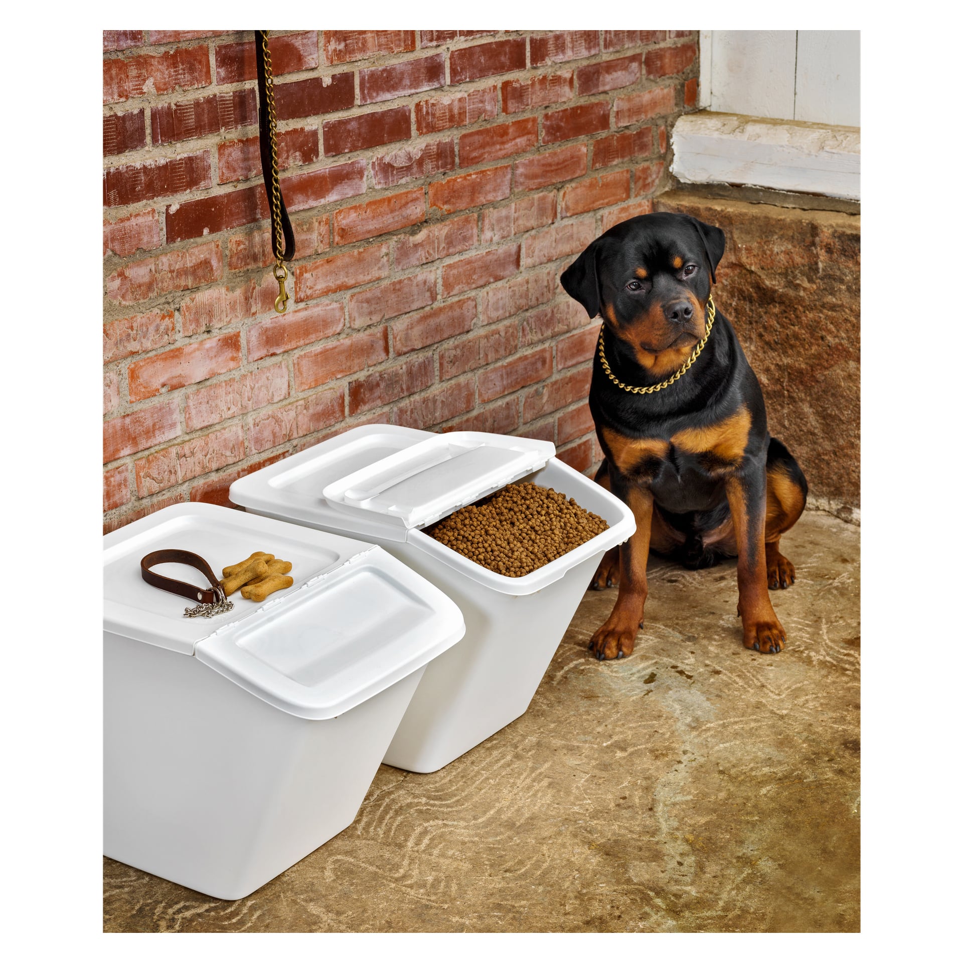 Rottweiler siedzi na betonowej podłodze obok dwóch Hard Head Stackable Storage Box—jedno zawiera smakołyki dla psa i obrożę, drugie jest wypełnione suchą karmą dla psów. Smycz zwisa z ceglanej ściany za nimi.