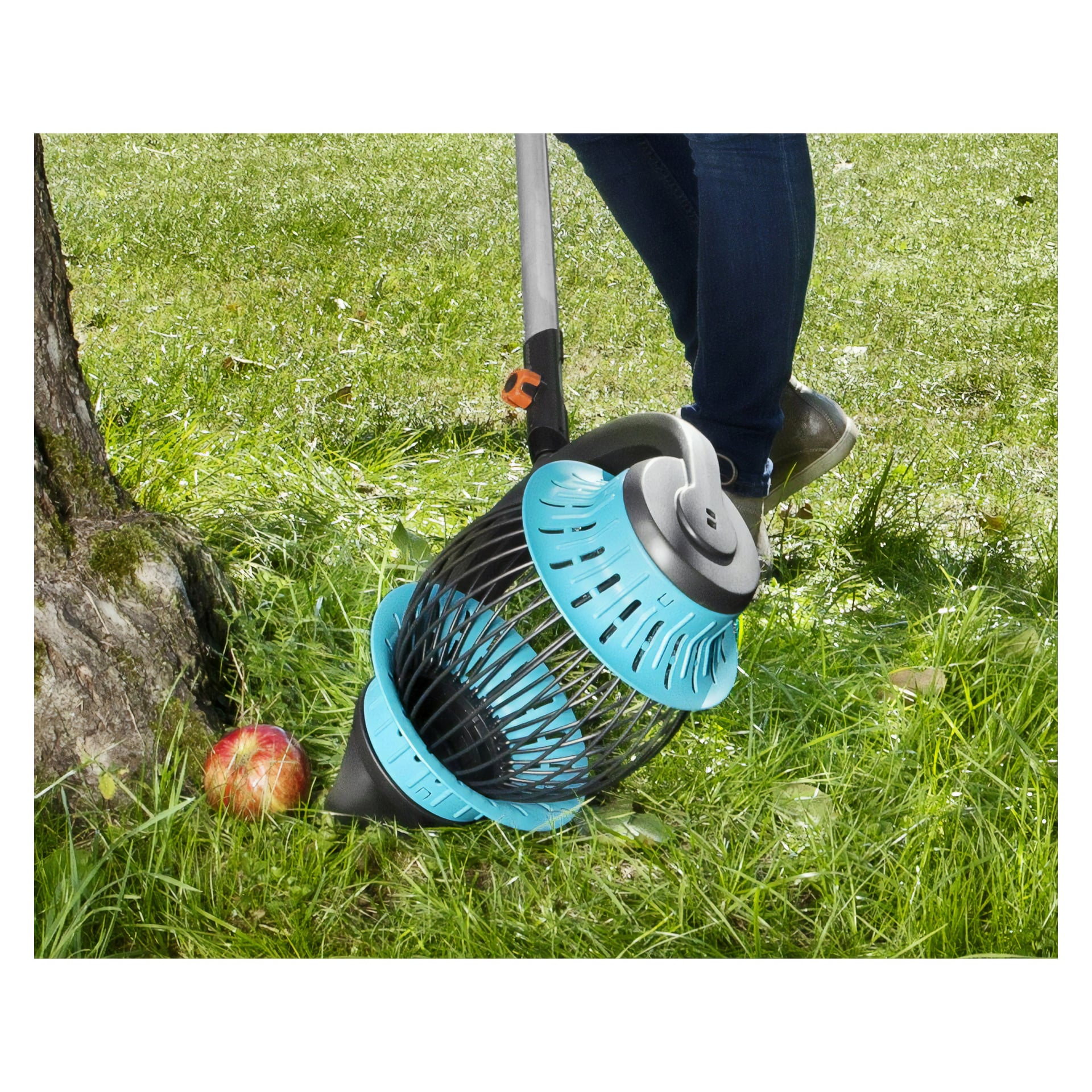 Någon driver en blå och svart Gardena-fruktsamlare på gräsmark nära ett träd, där de samlar ett äpple som fallit. Detta verktyg gör det möjligt att plocka upp frukt från gräsmattan utan att behöva böja sig ner.