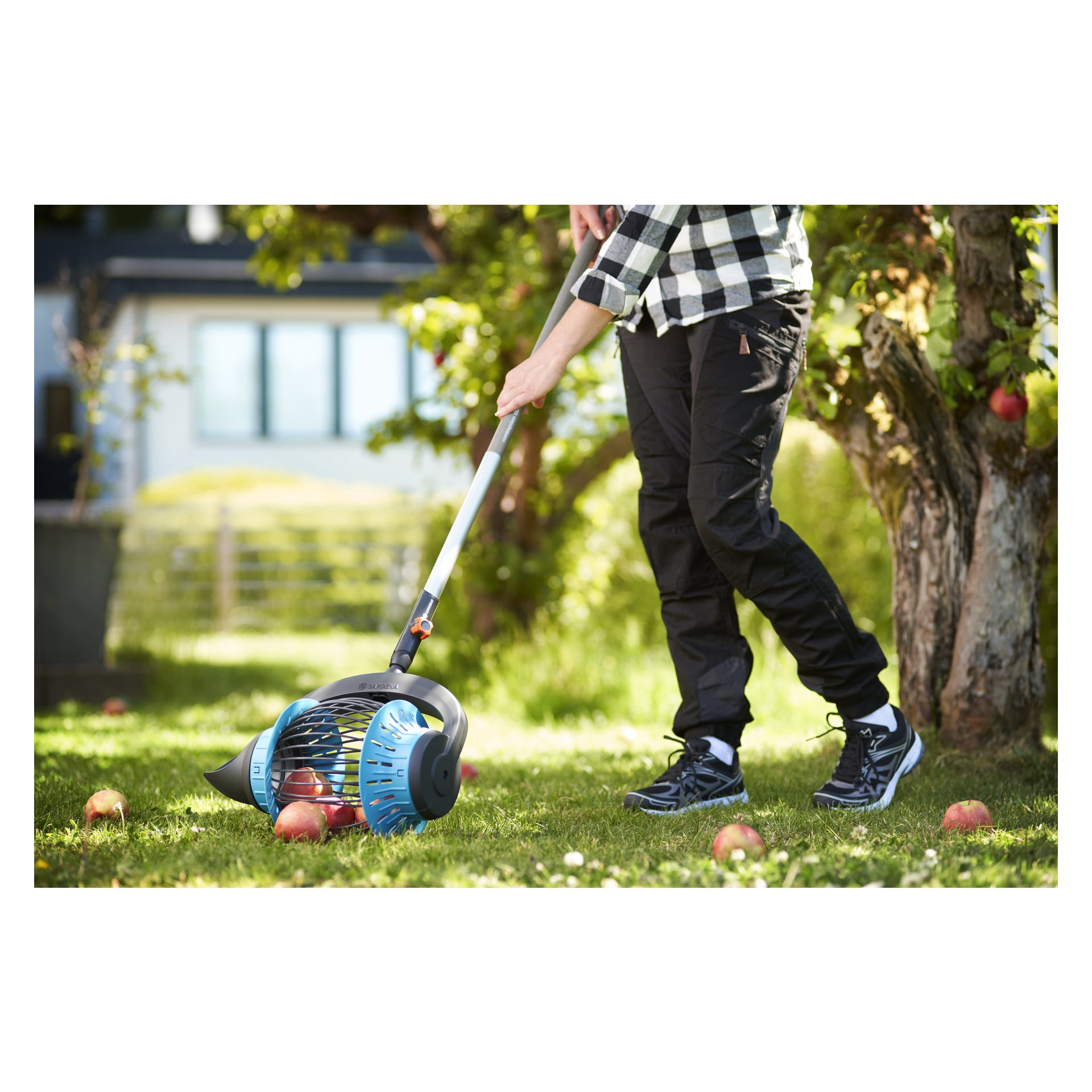 En person i svarta byxor och sneakers samlar äpplen från gräset under ett träd med hjälp av Gardena Fruit Collector, med fler äpplen utspridda i närheten och ett hus synligt bakom dem.
