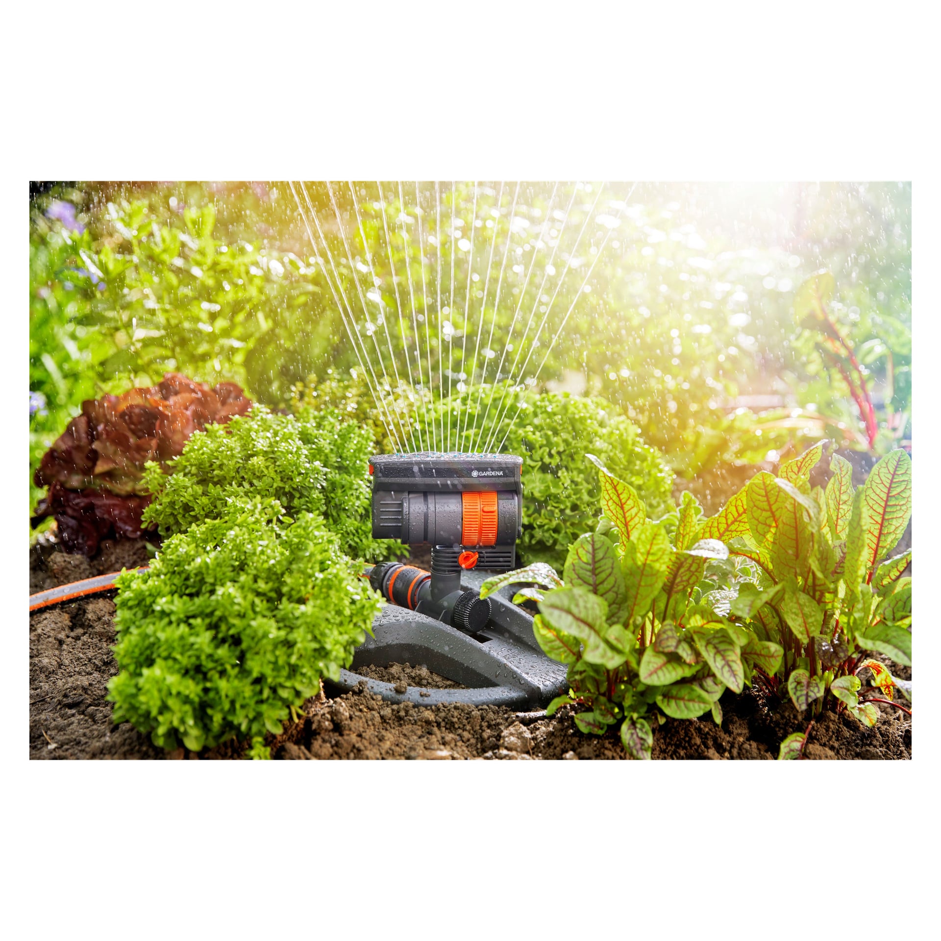 Gardena Water Sprinkler AquaZoom Compact mustan ja oranssin sävyssä lähettää useita puroja, kastellen puutarhakasveja ja yrttejä kirkkaan auringon alla.