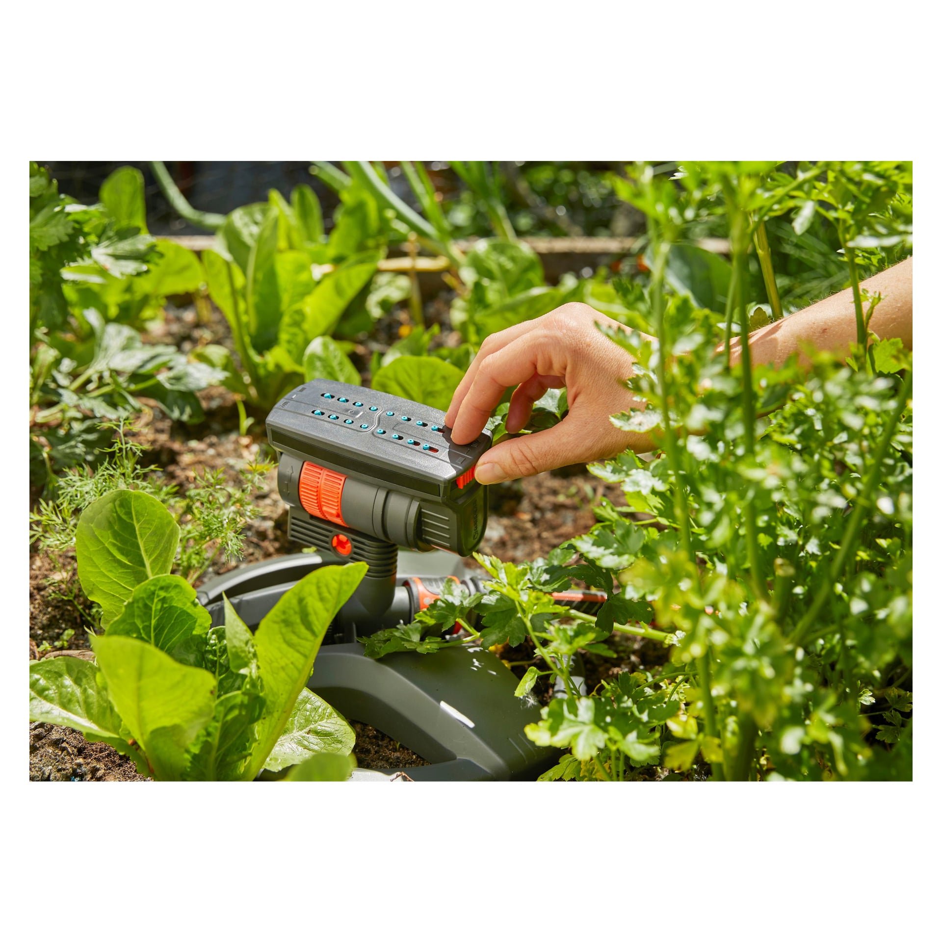 Käsi säätää Gardena Water Sprinkler AquaZoom Compact -settiä yrttien ja salaatin keskellä kasvipellolla. Laite, jossa on napit ja digitaalinen näyttö, sijaitsee mullalla, jota reunustavat rehevät vihreät lehdet.