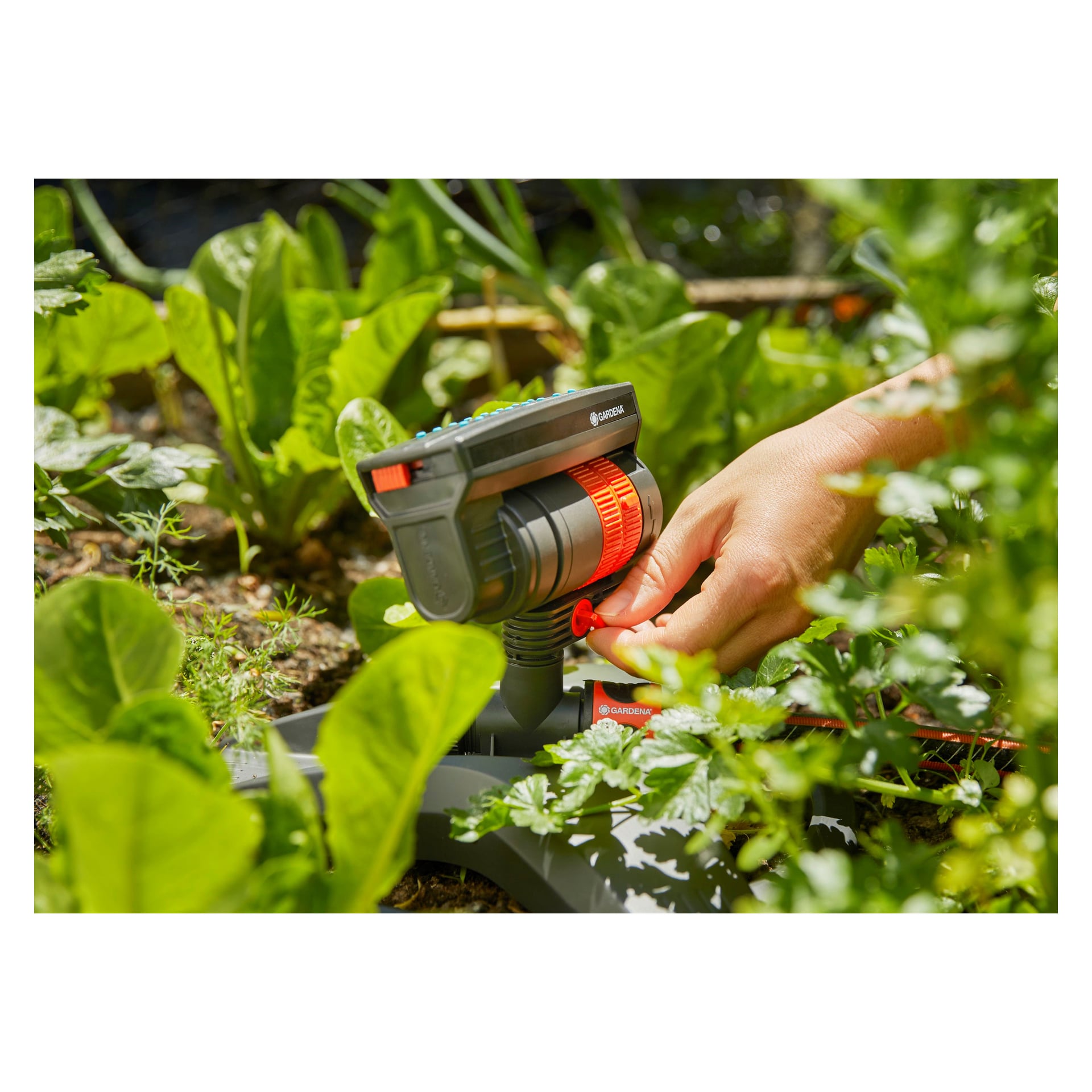 Käsi säätää Gardena AquaZoom Compact -kastelulaitetta, musta-oranssia laitetta, joka on kiinnitetty letkuun ja jota ympäröivät tiheät vihreät puutarhakasvit.