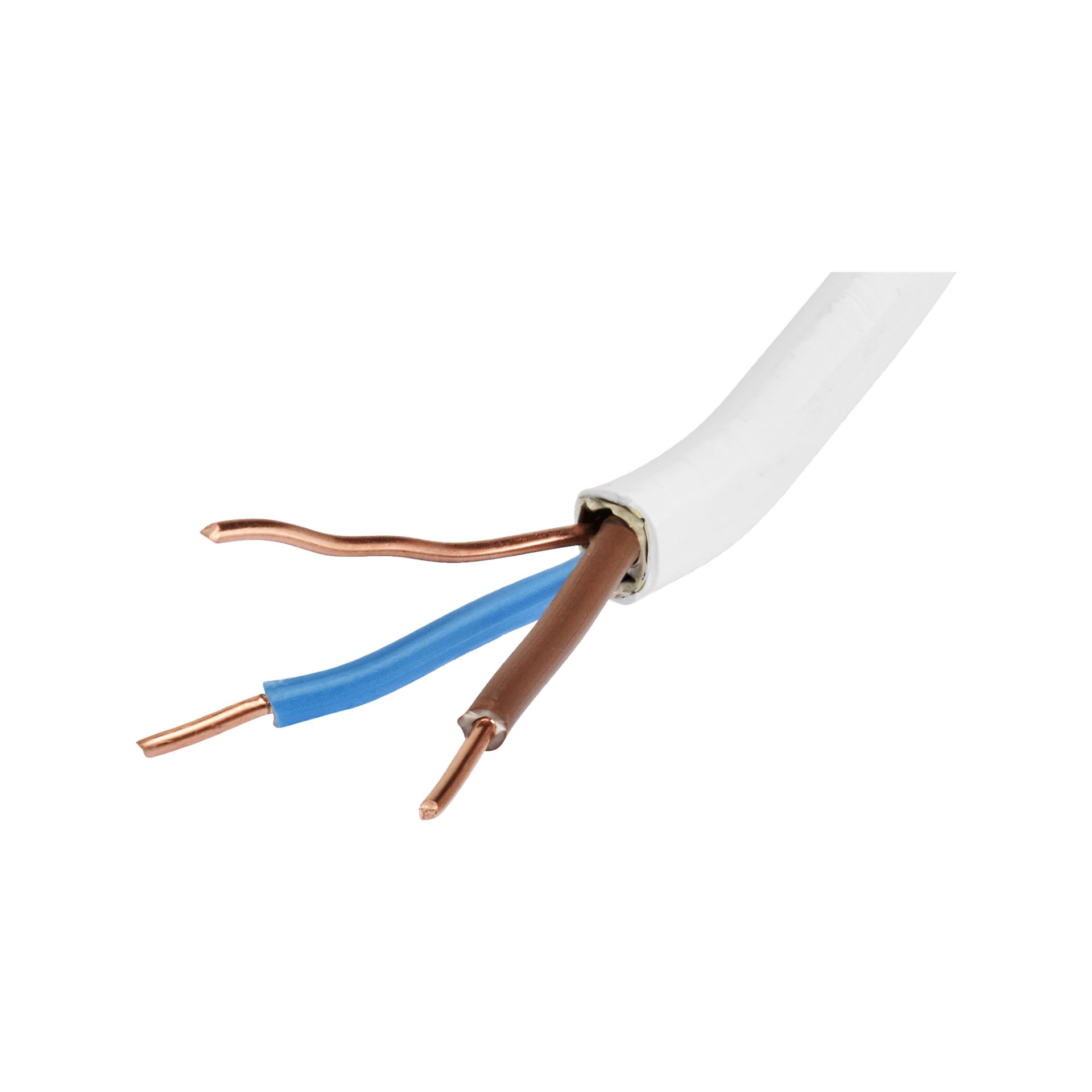 Et nærbilde av en kuttet Amokabel PR-kabel viser tre eksponerte kobberledninger—en blå og to brune—inne i en hvit ytre kappe.