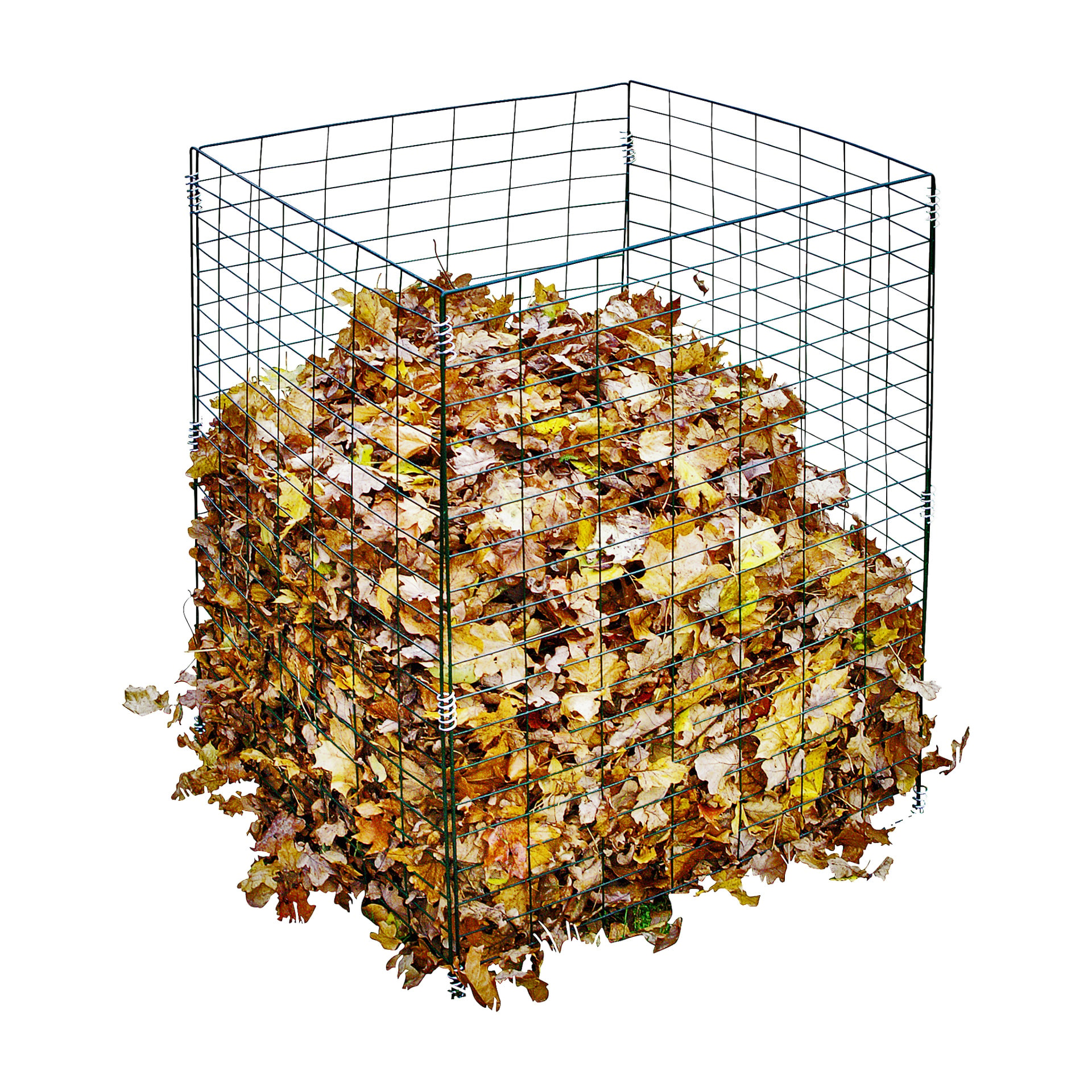 Ett Hard Head Compost-galler fyllt med torra höstlöv i bruna och gula nyanser, med några blad utspridda vid basen.