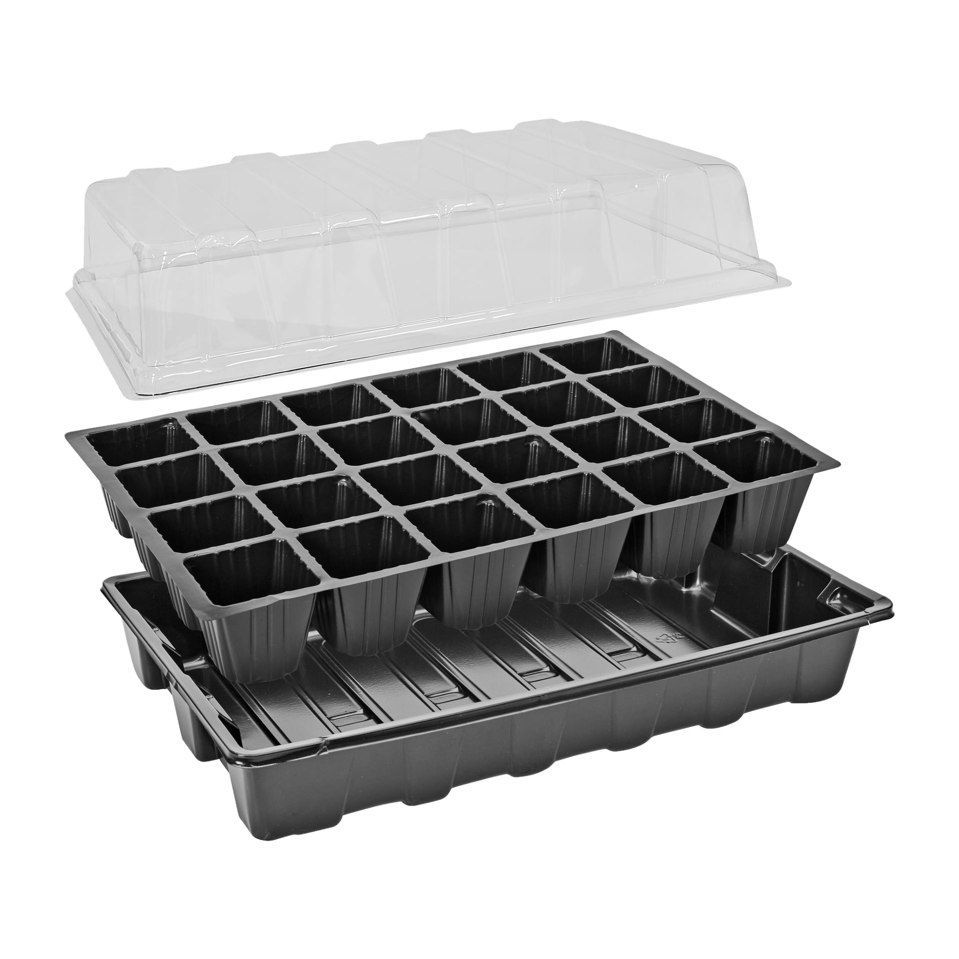 En Hard Head Seed-bricka visas upp, bestående av 24 separata plastceller, en stadig basbricka och en transparent plastfuktighetskupol.
