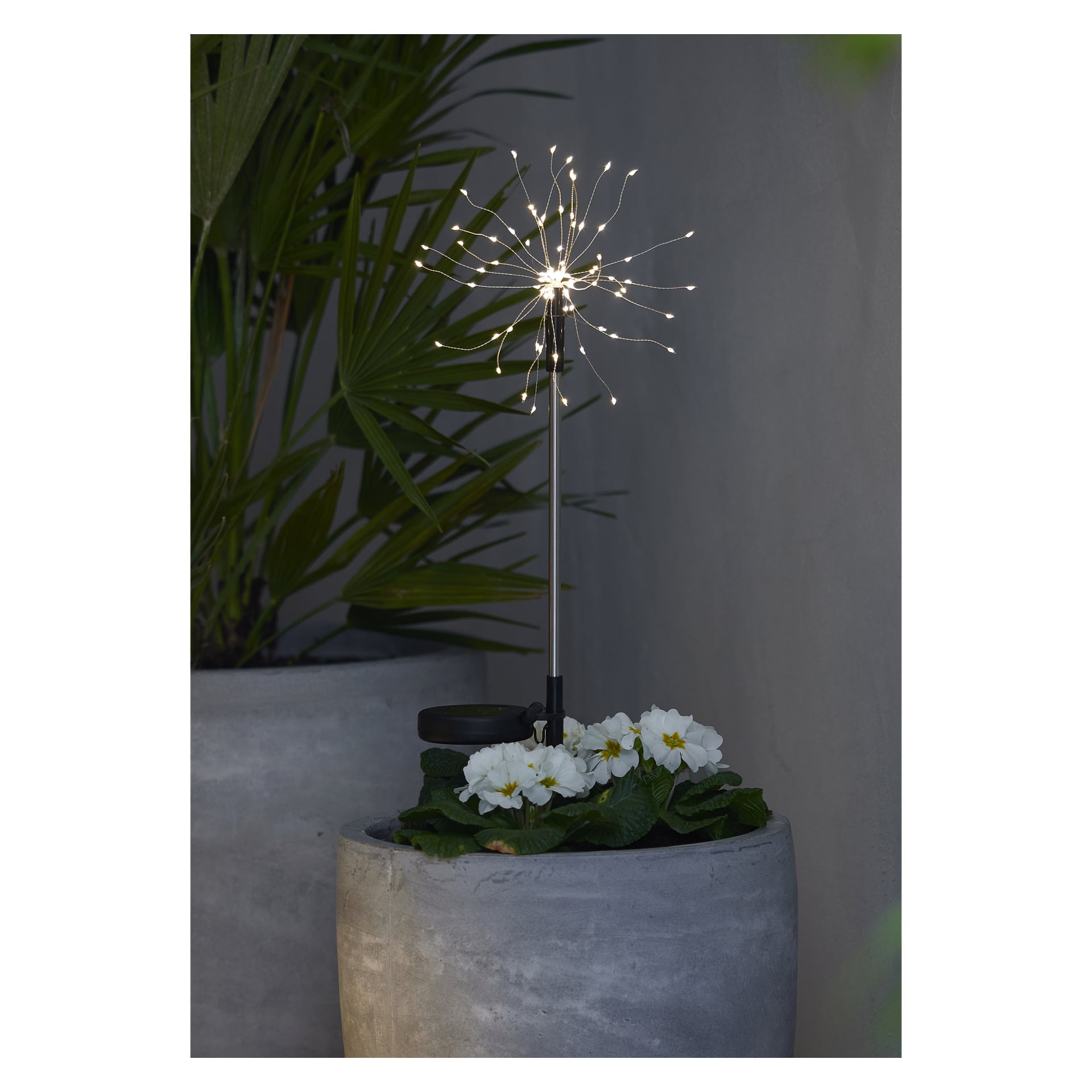 Anslut solcellslampa (LED LED) placeras i en stor grå plantering fylld med vita blommor och gröna blad, placerad framför en betongvägg, med en hög lövig växt synlig bakom.