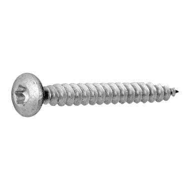 En närbild på en Hard Head Anchor-skruv från 250-packet, som visar dess silvermetallfinish, runda huvud och Phillips-driv.