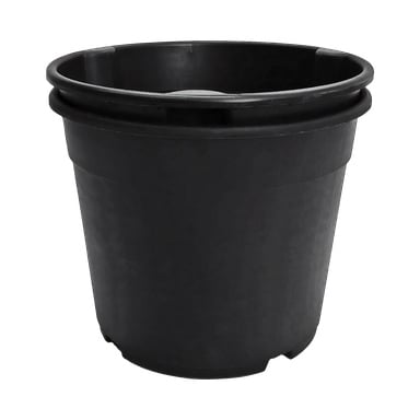 En svart plastkruka med Hard Head Potato med bred kant och lätt sluttande sidor är avbildad. Krukan är tom och väl lämpad för trädgårdsskötsel eller inomhusväxter.
