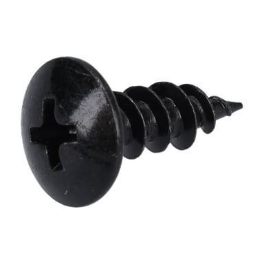 Närbild av Screw F1 F. 016937, som visar ett svart Phillips-huvud med platt, rund topp och grova gängor.