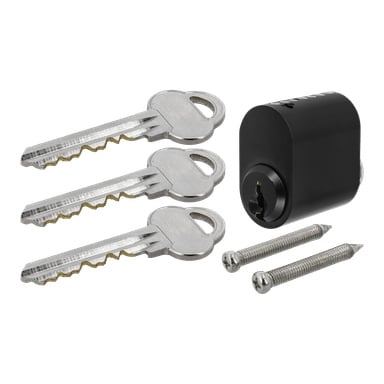 Tre silvernycklar, en svart cylinder med hårdt huvudlås och två silverskruvar är prydligt arrangerade.