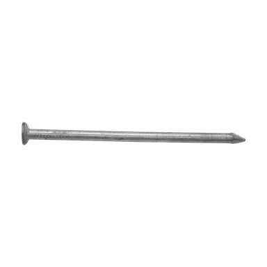 Et nærbilde av en enkelt Hard Head Wire-spiker med flat hode og skarp spiss, vist liggende horisontalt.