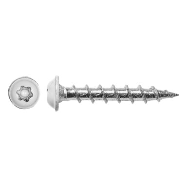 Närbild av en Heco-plåtskruv från ett 25-pack, med ett silverfärgat Torx-huvud och gängad kropp synlig från upptill och sida.