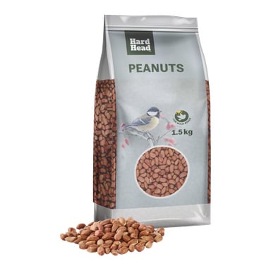Hard Headin 1,5 kg pussi Maapähkinöitä villilinnuille, ja pakkauksessa on lintu ja maapähkinöitä. Pussin edessä on irtopähkinöitä. Pussin tekstissä lukee "Maapähkinöitä villilinnuille.".